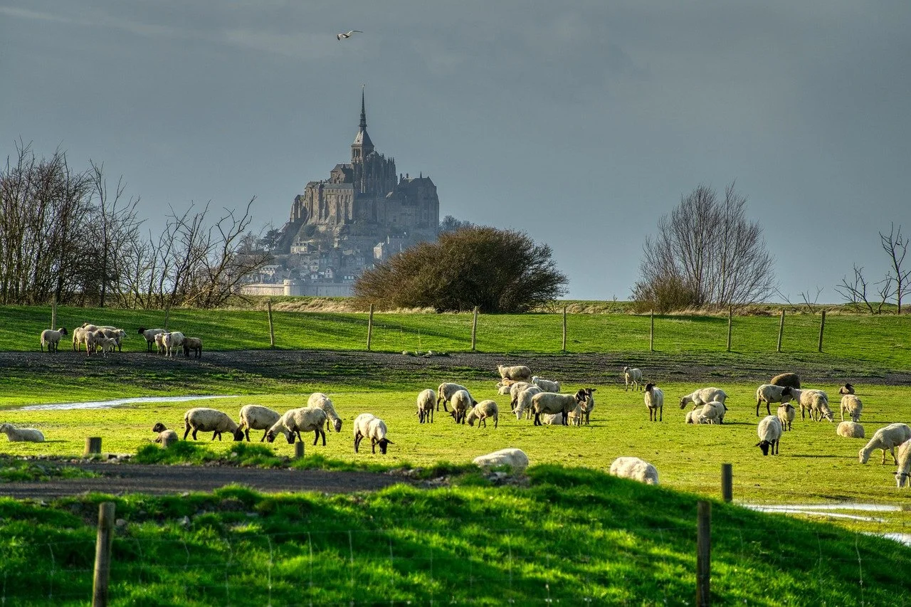 Paris & Normandy!