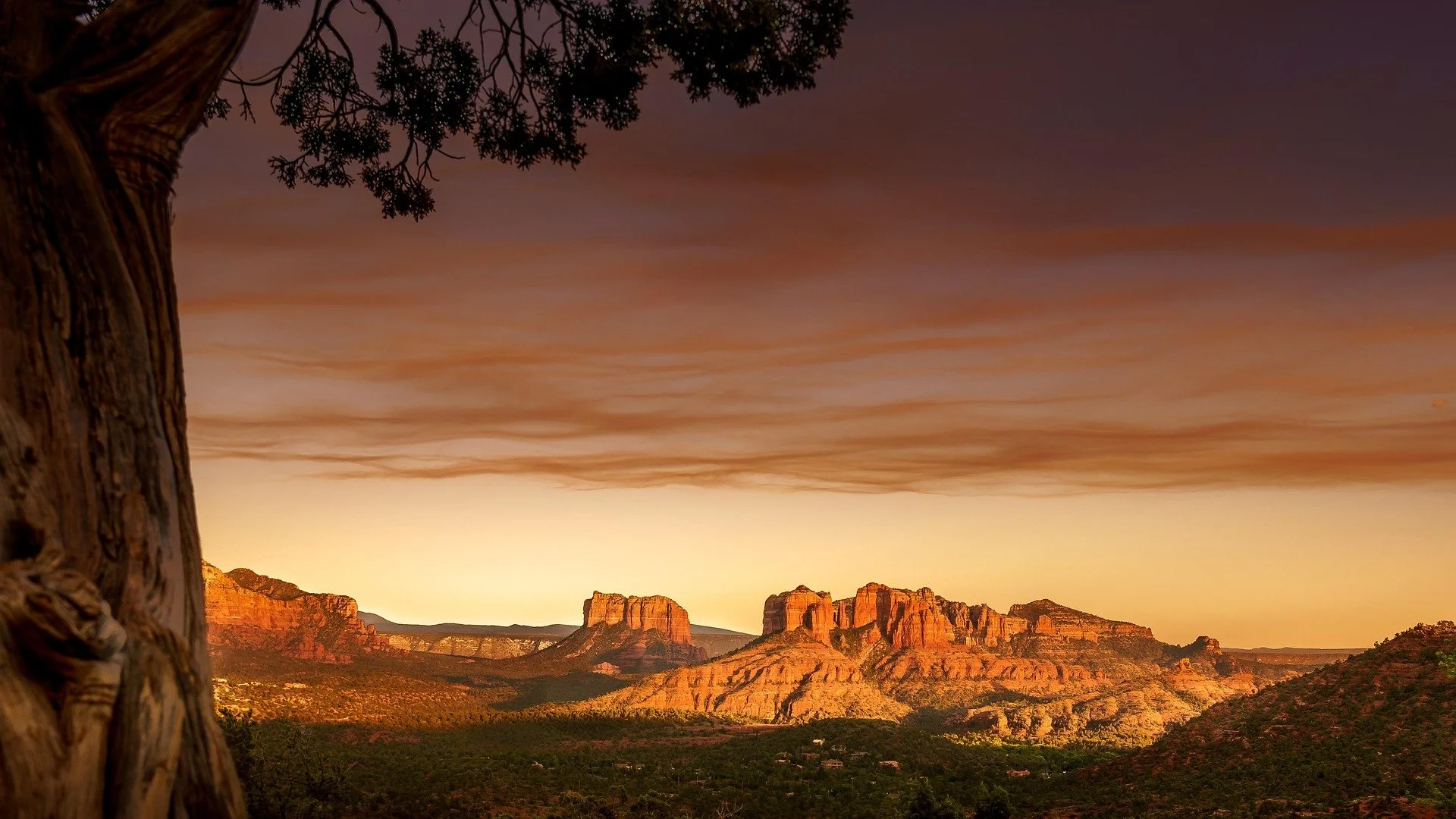 National Parks & Canyons!