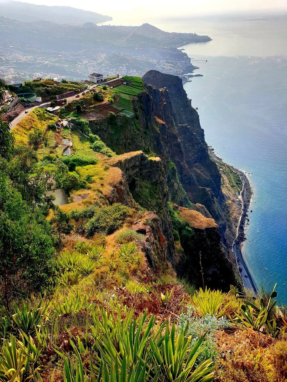 Madeira & Lisbon