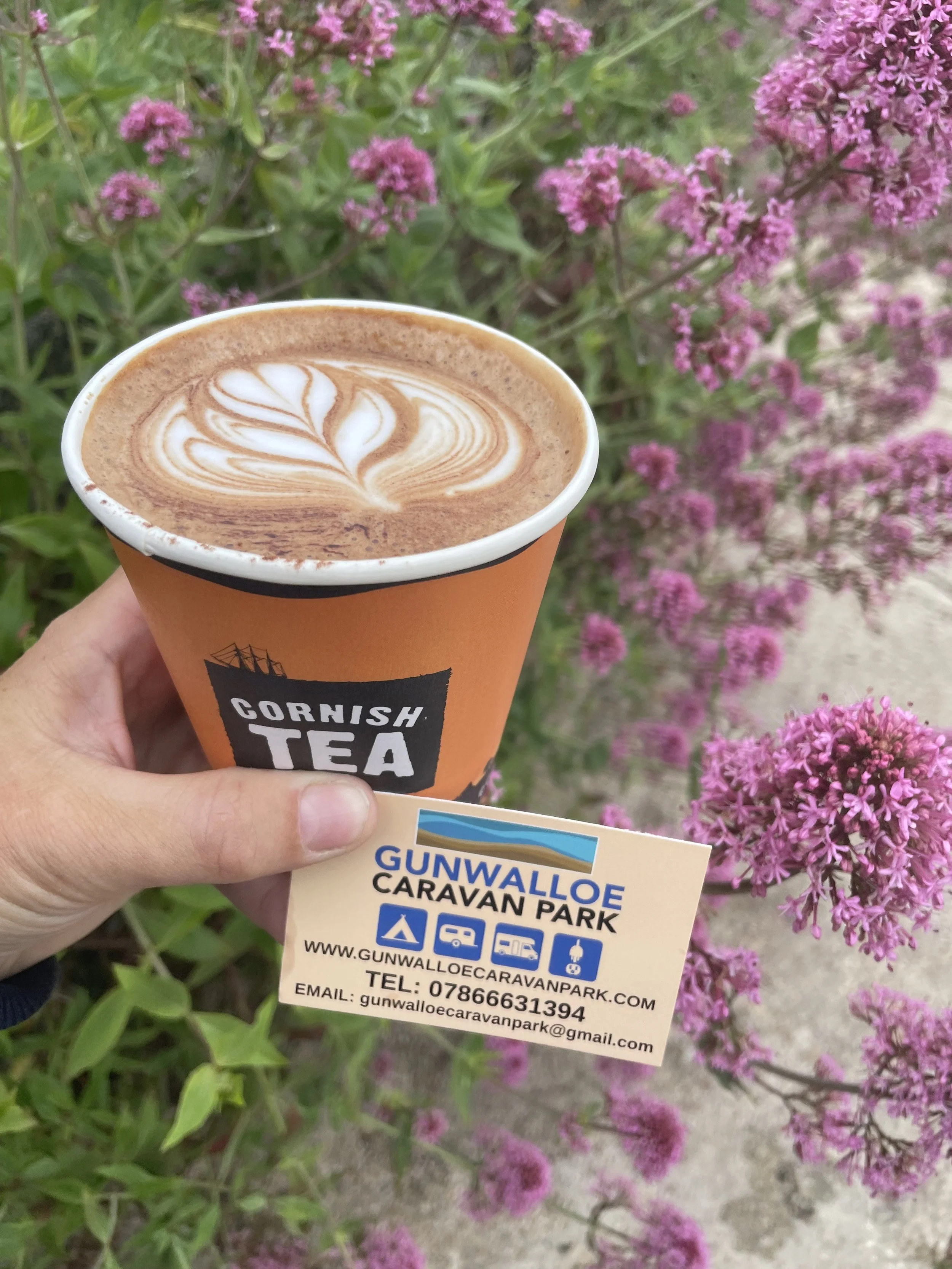 Freshly brewed coffees in the shop 