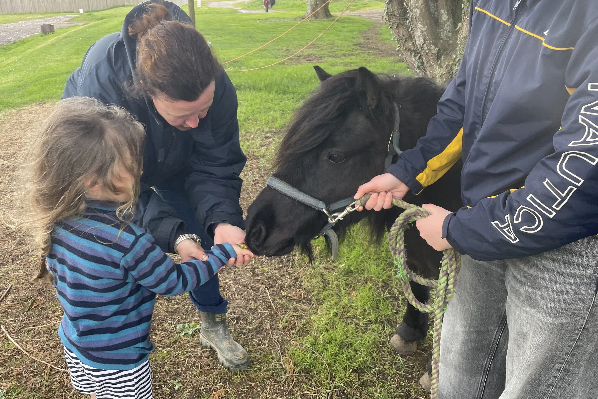 COme and meet our ponies 