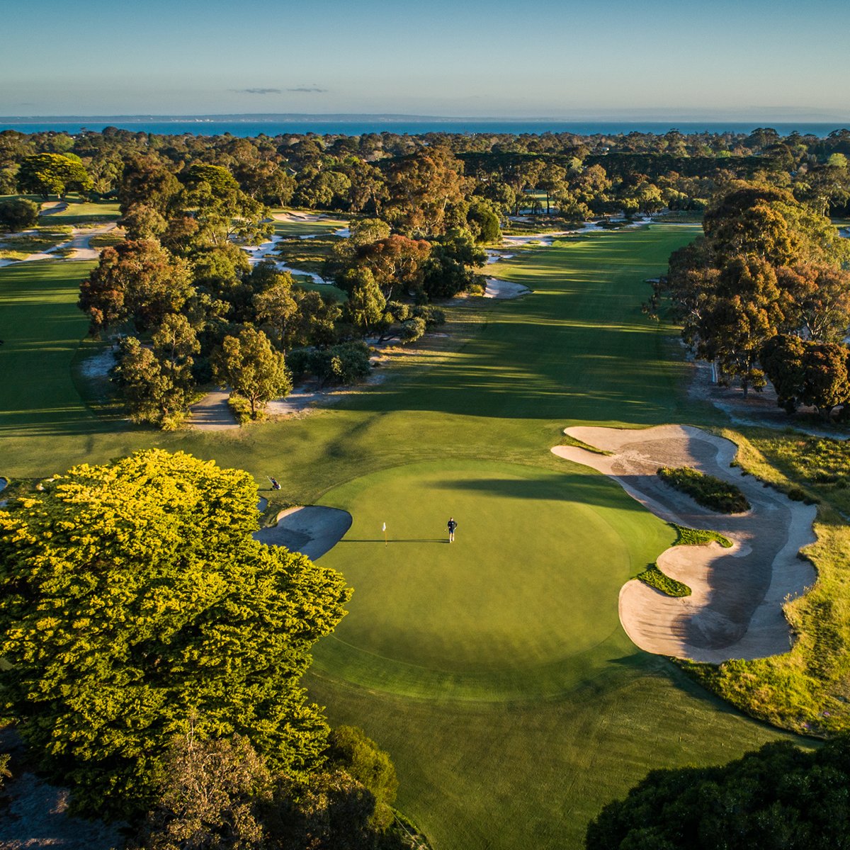 A landscape of rolling hills with scattered trees, a pond, and a dirt path, with a large leafy tree in the foreground and a partly cloudy sky.