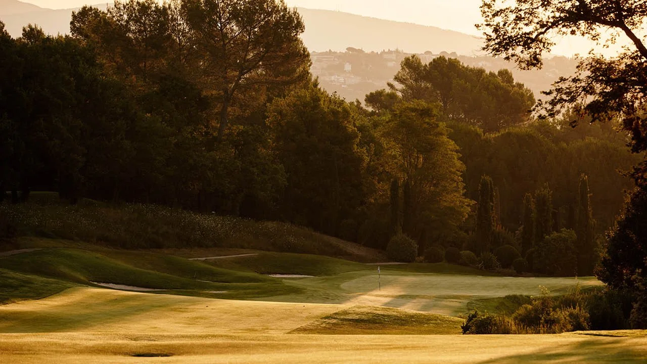 GT Curated Video .jpg