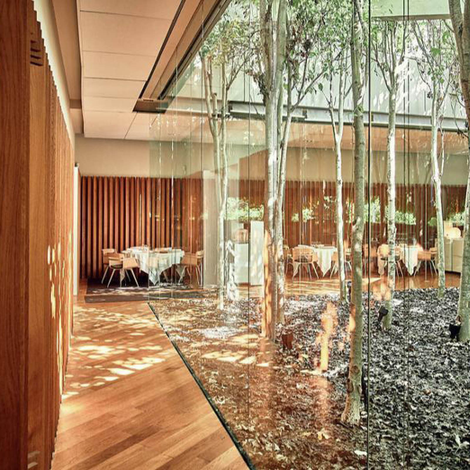Interior of a restaurant with wooden walls and tables set for dining, viewed through floor-to-ceiling glass windows that look out onto a garden with trees.