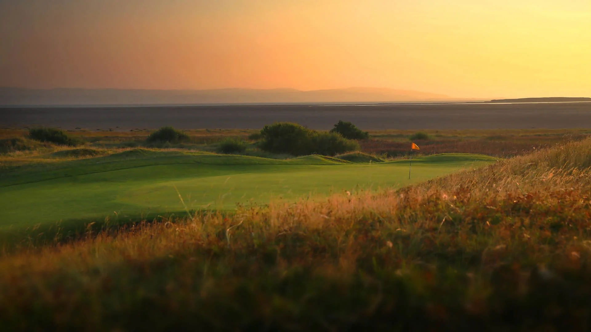 GT Liverpool Curated-2.jpg