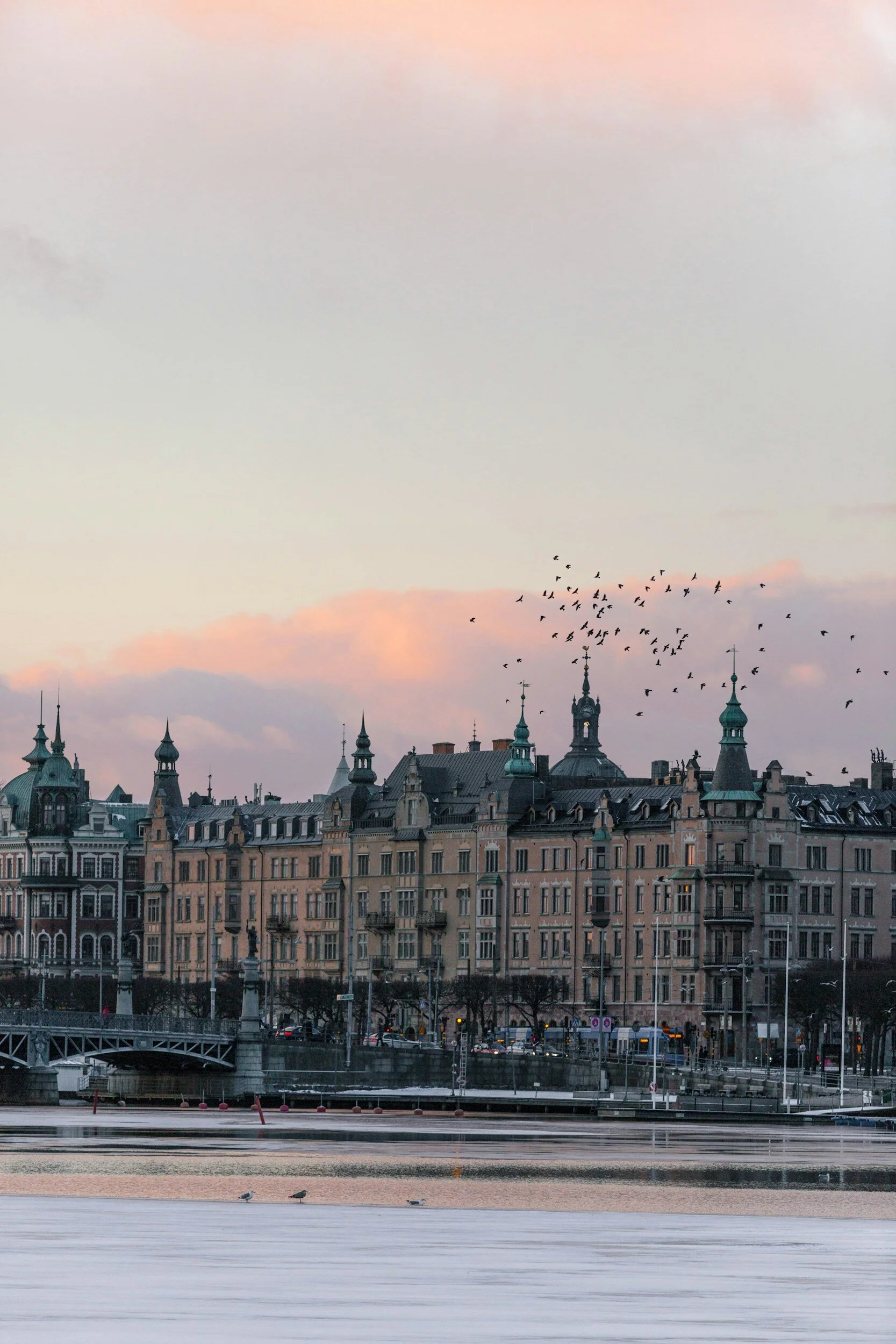 Cityscape featuring historic European-style buildings with green rooftops and spires, a river in the foreground, and birds flying in the sky during sunset.