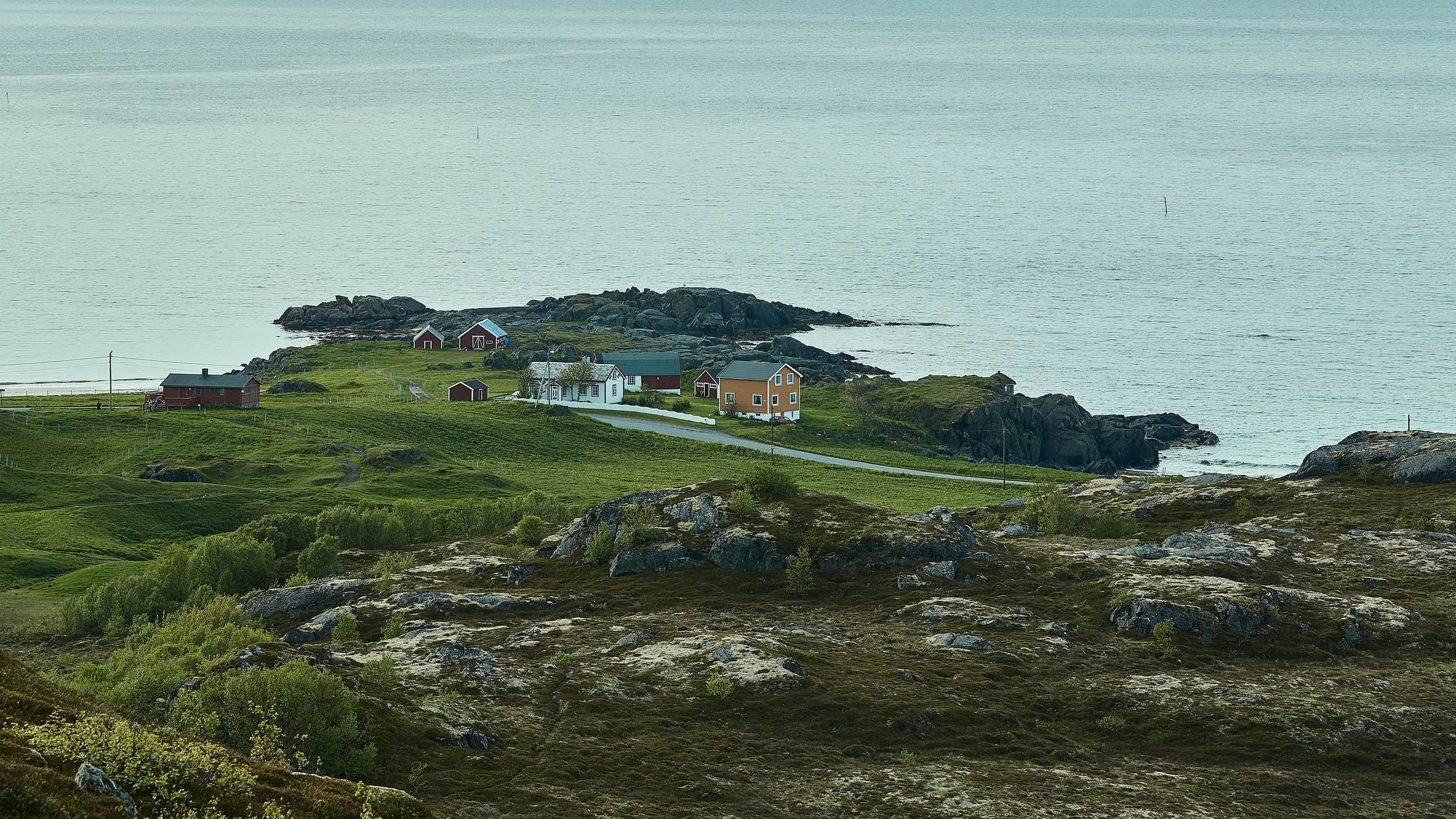 Lofoten Curated-8.jpg