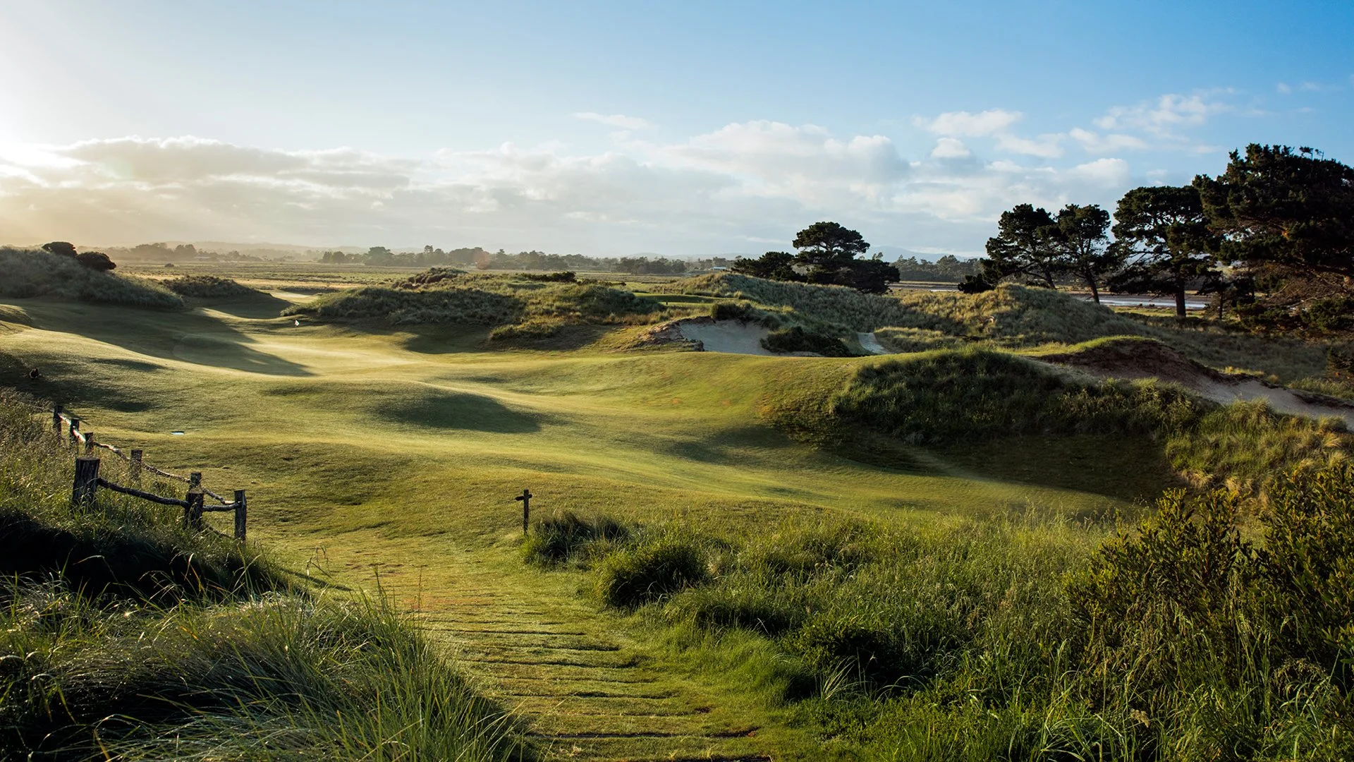 GT Australia Curated-5.jpg