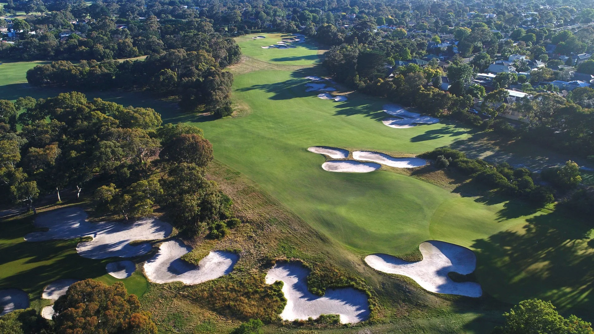 GT Australia Curated-26.jpg