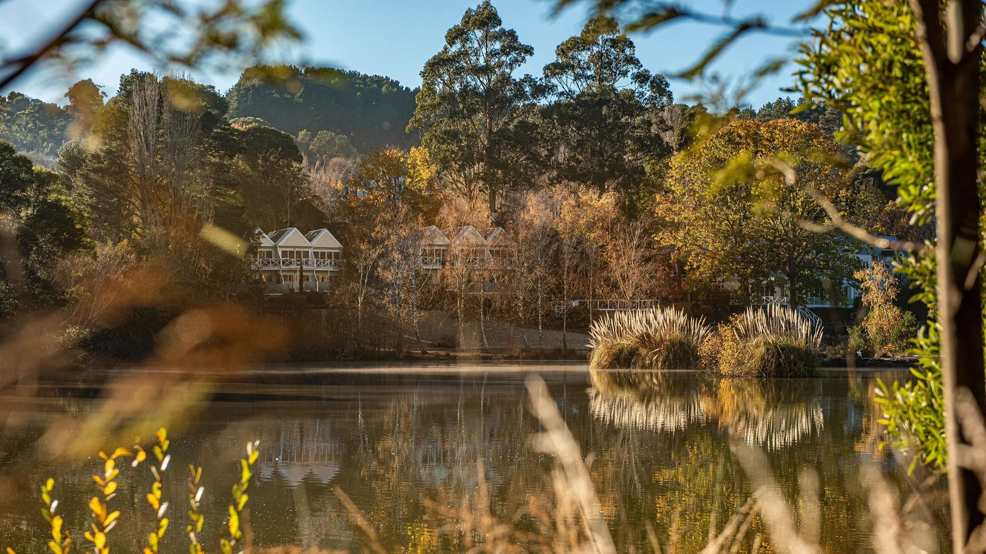 GT Australia Blog-18.jpg