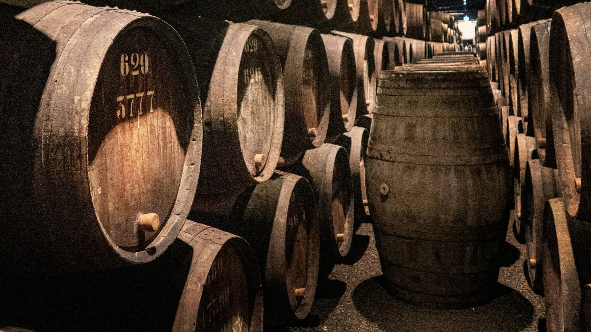GT Portugal Curated-7.jpg