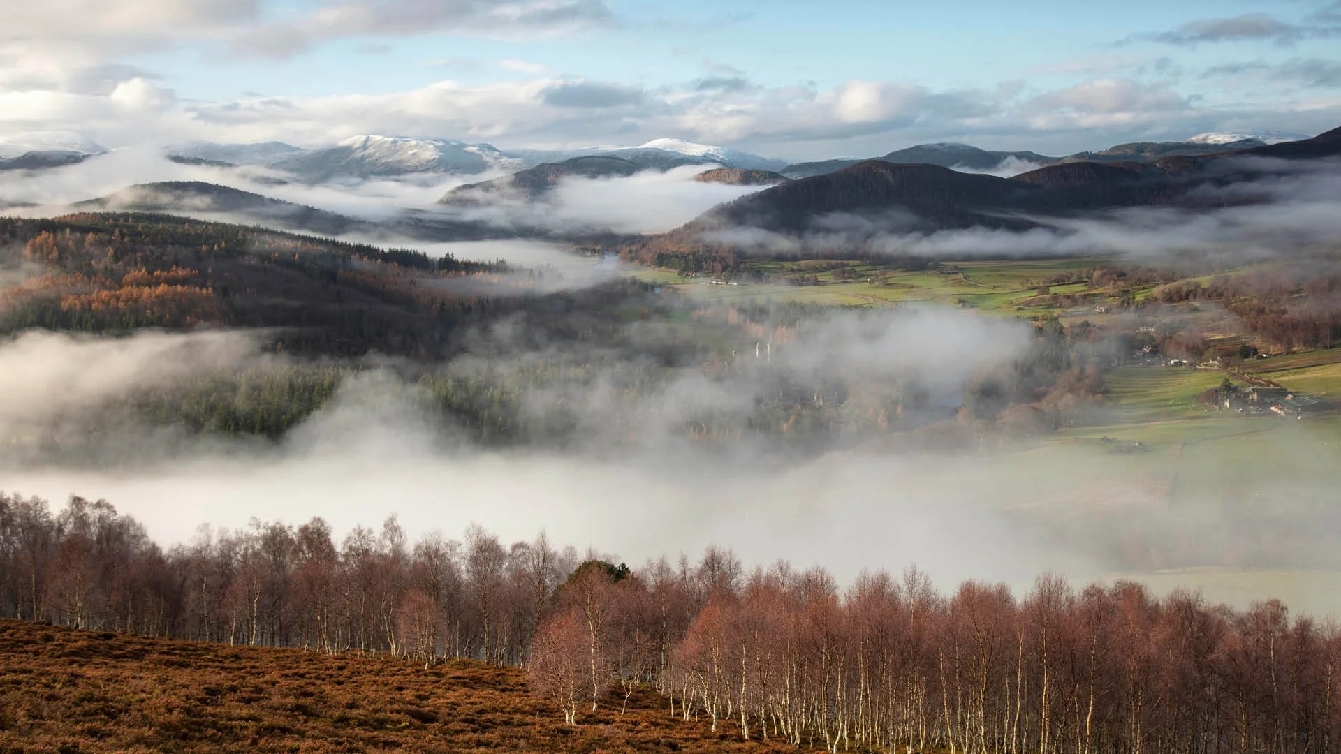 GT Highlands Curated-3.jpg