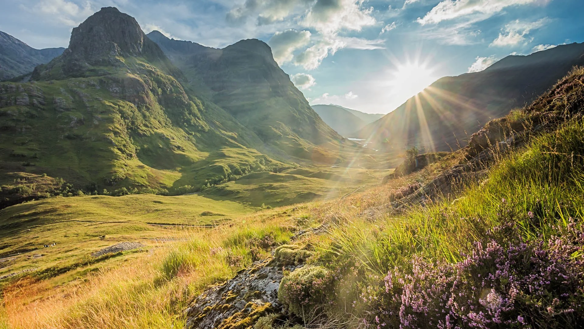 GT Highlands Curated-7.jpg