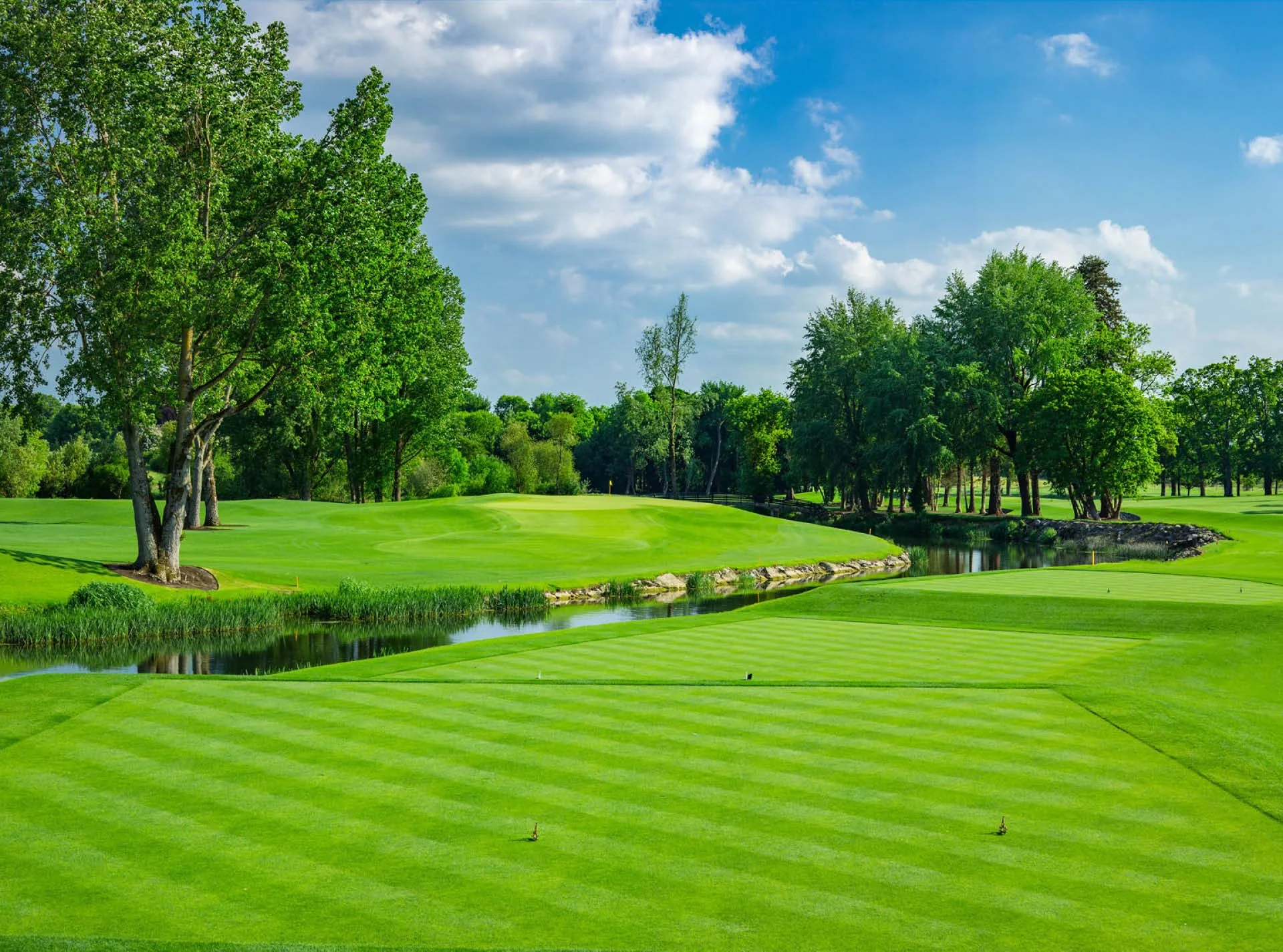 GT Ryder Cup Curated-6.jpg