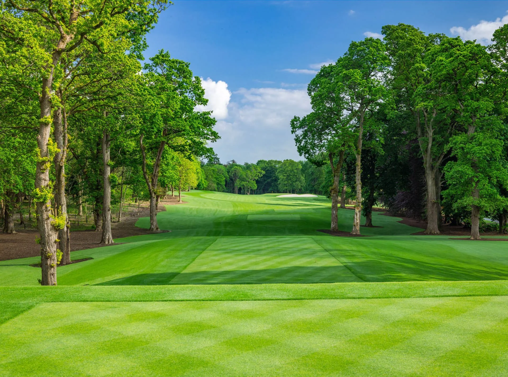 GT Ryder Cup Curated-8.jpg