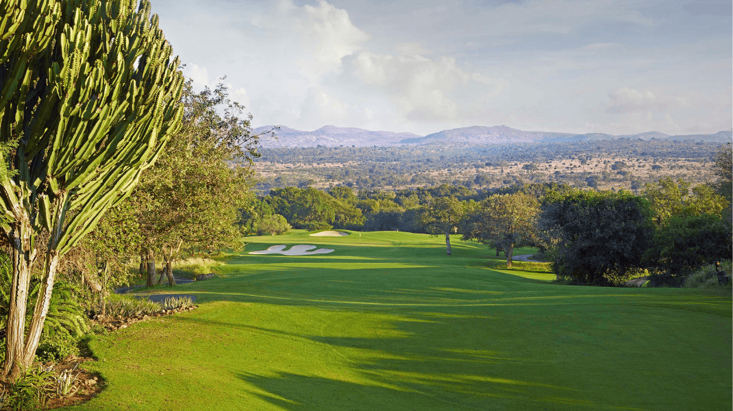 South Africa - Curated Website Carousel (GOLF) (1).png