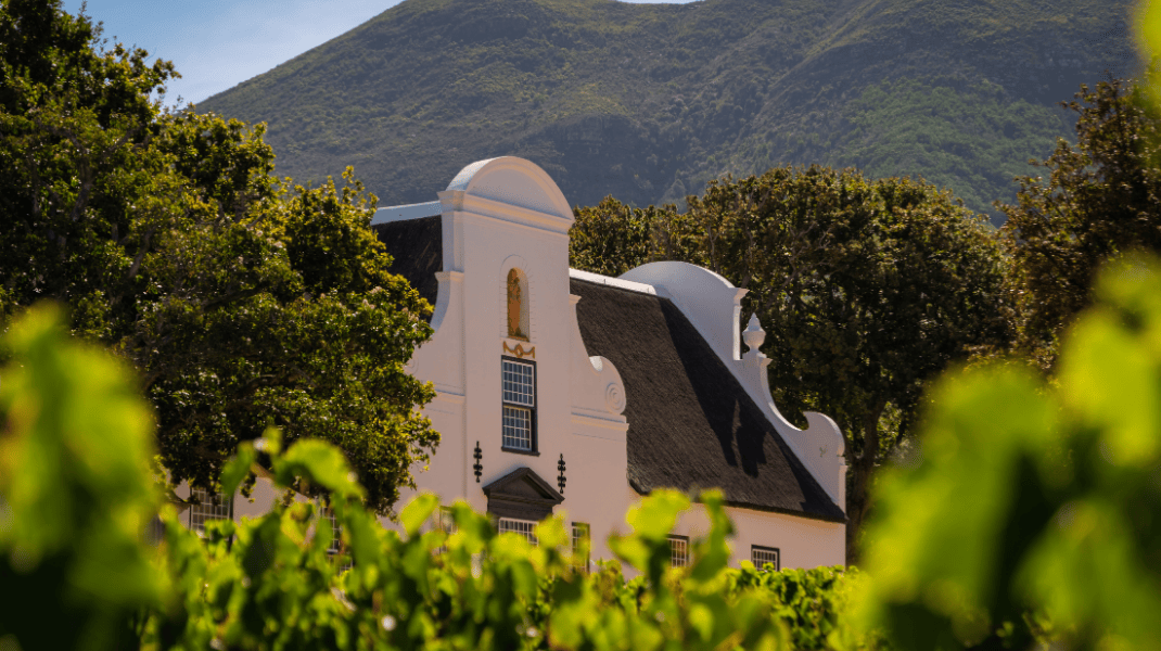 South Africa - Curated Website Carousel (WINE) (4).png