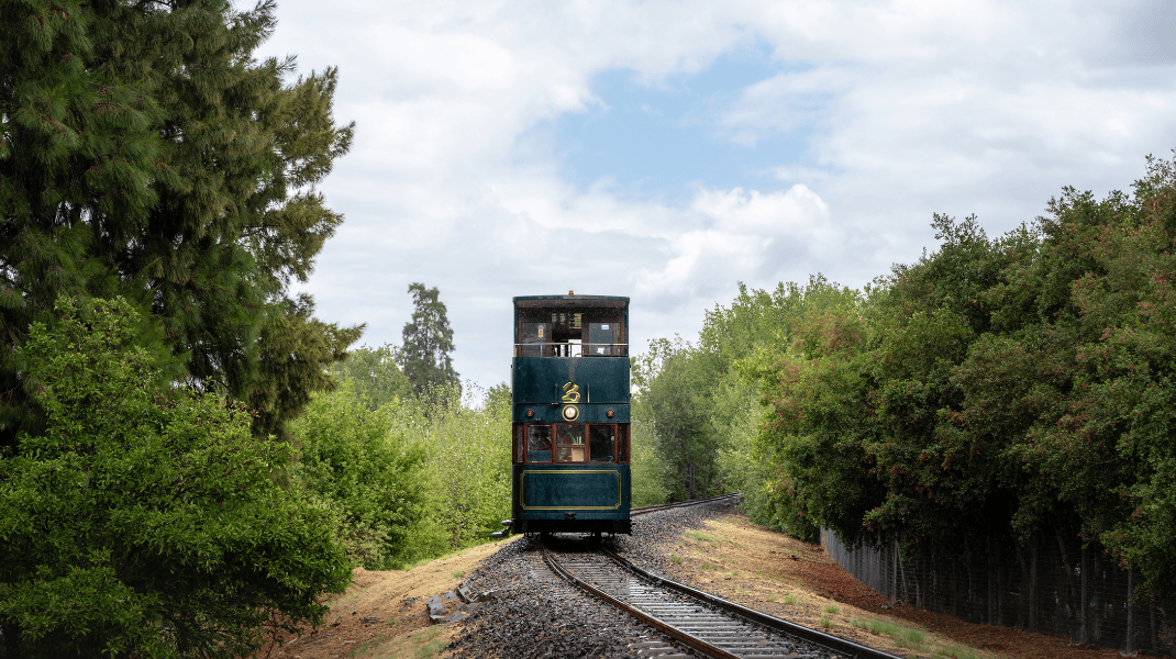 South Africa - Curated Website Carousel (WINE) (5).png