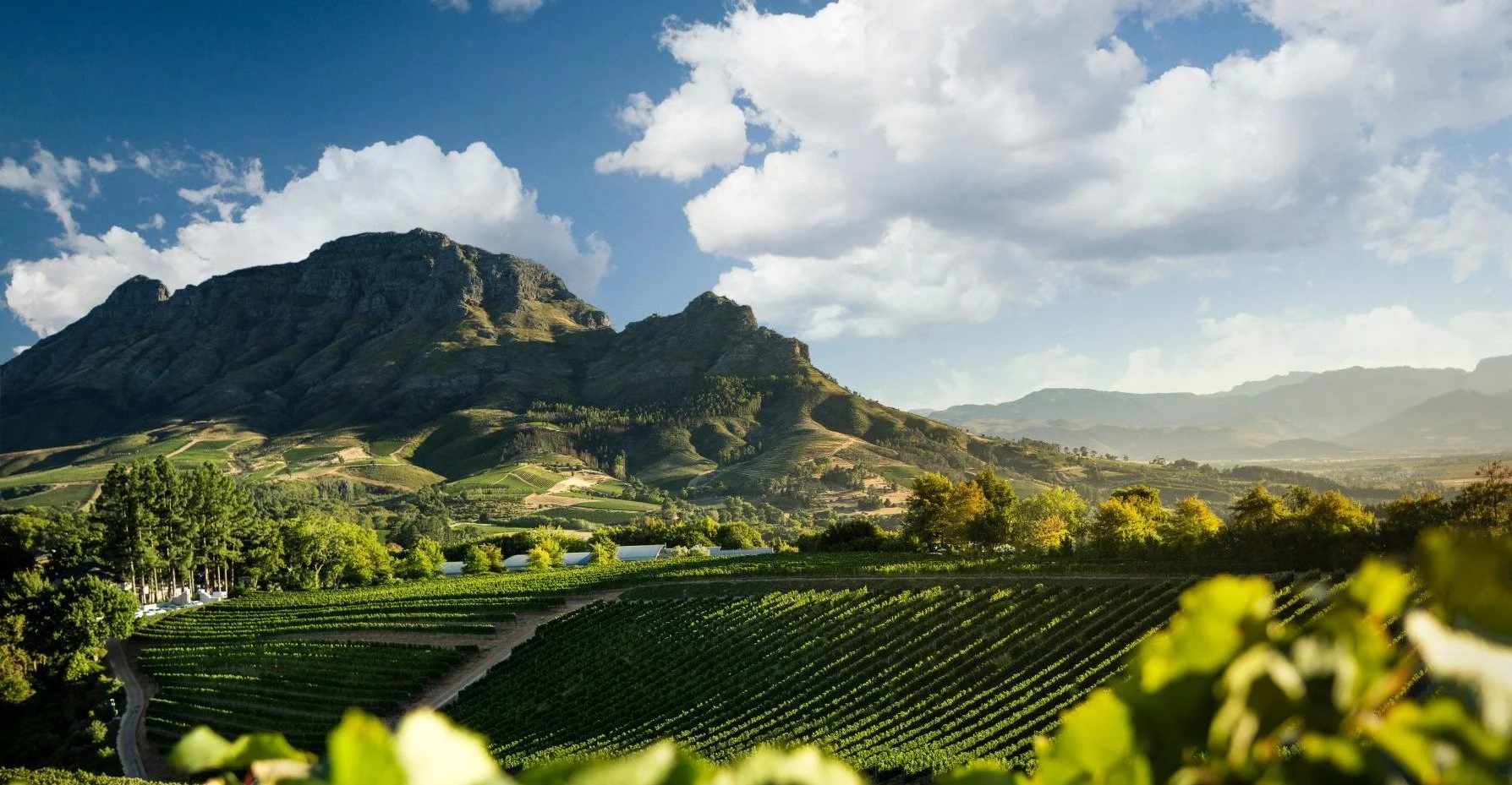 Delaire Graff Estate1.jpg