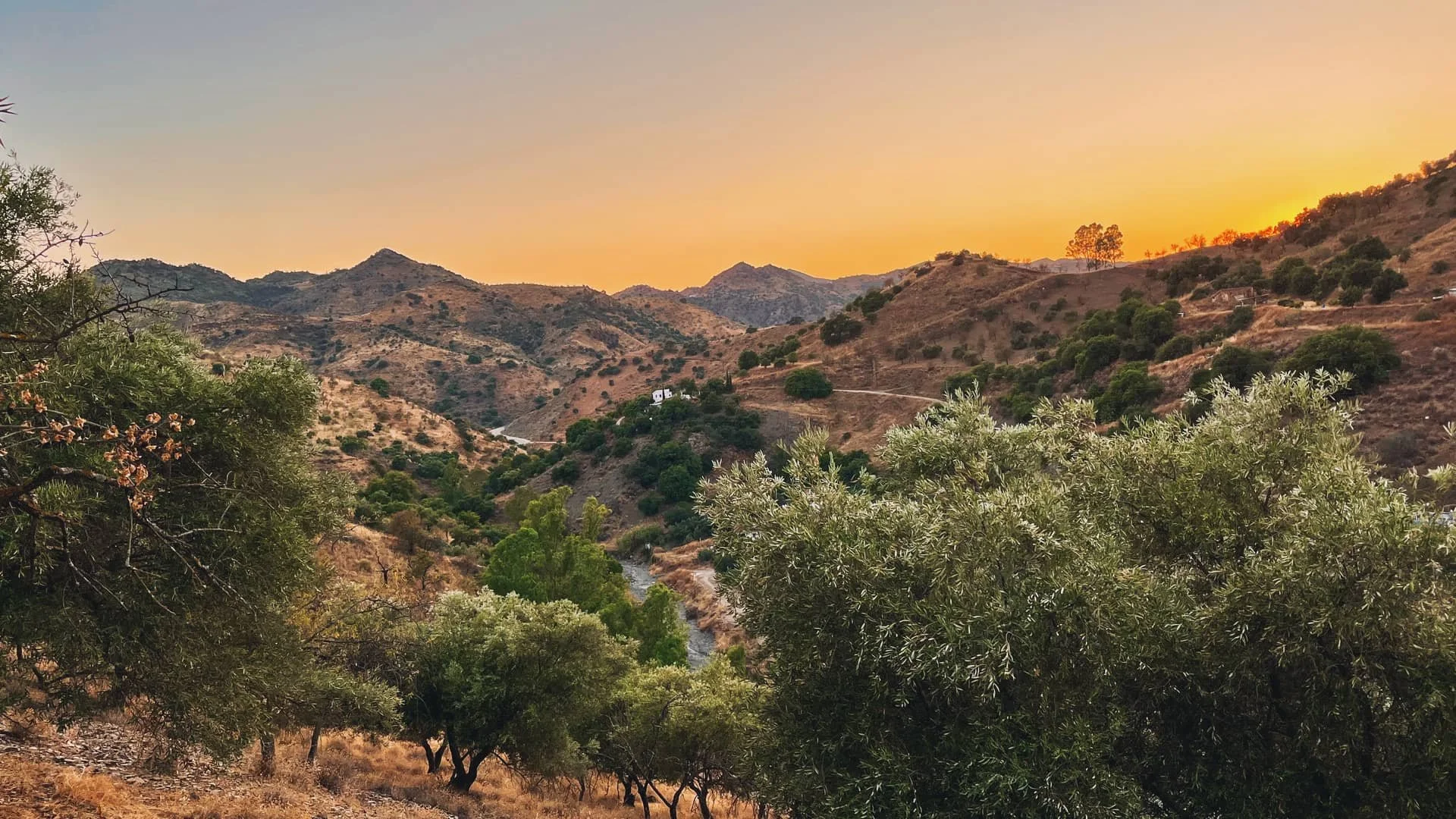 Andalucia - Curated - Region Opt6.jpg