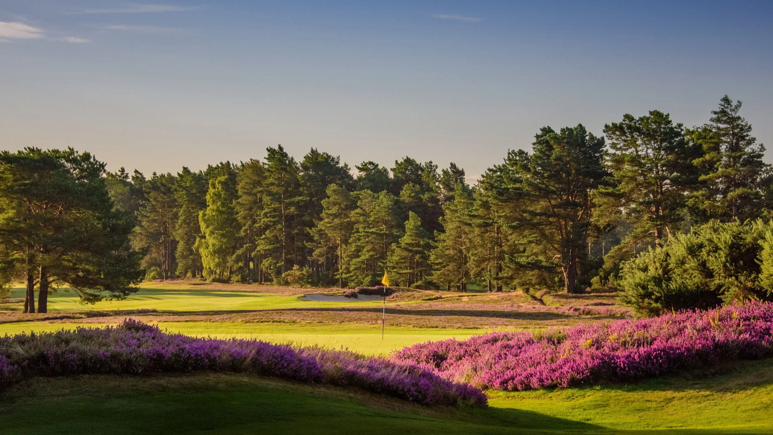 Curated London (Golf) 3.jpg