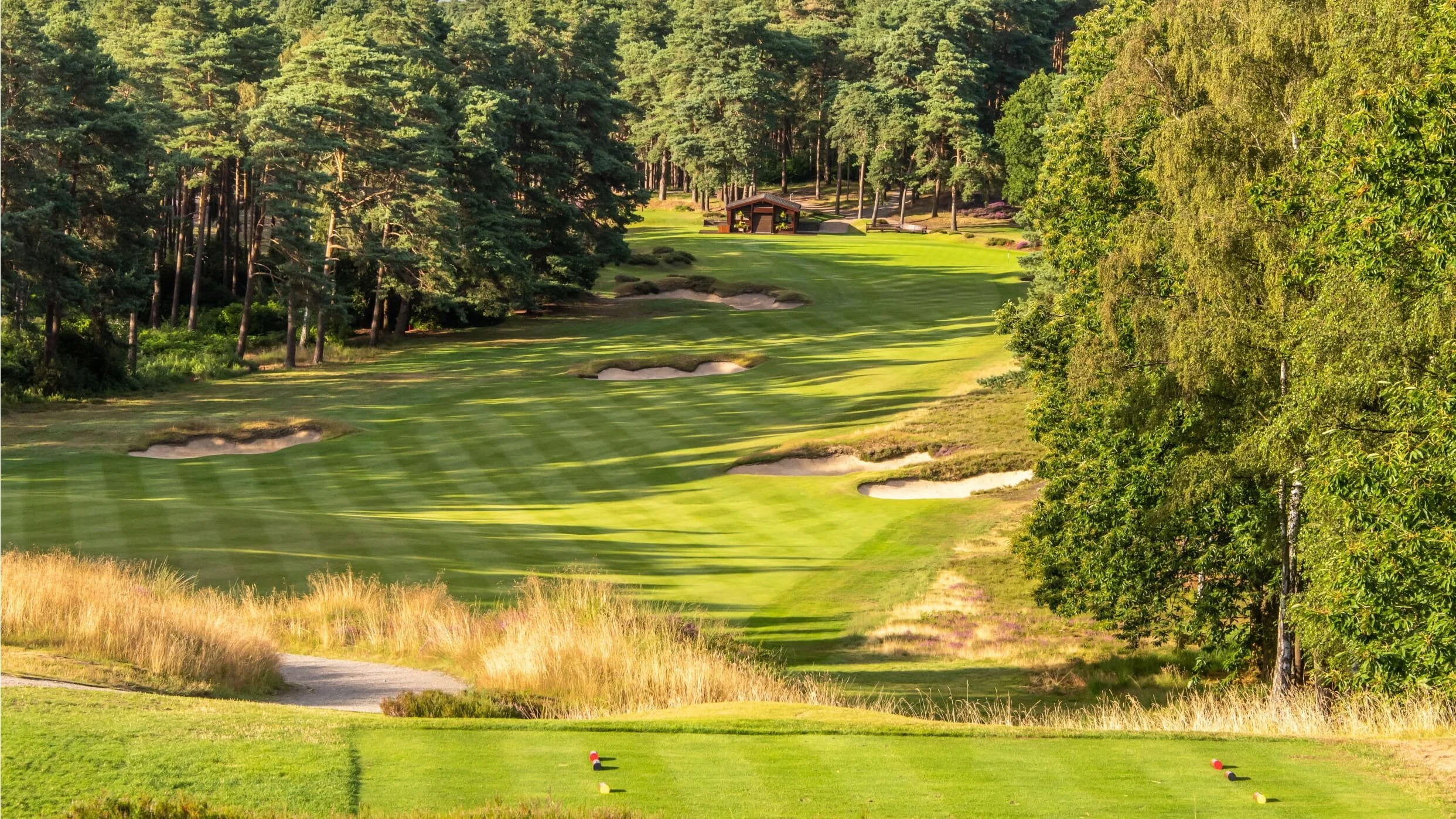 Curated London (Golf) 4.jpg