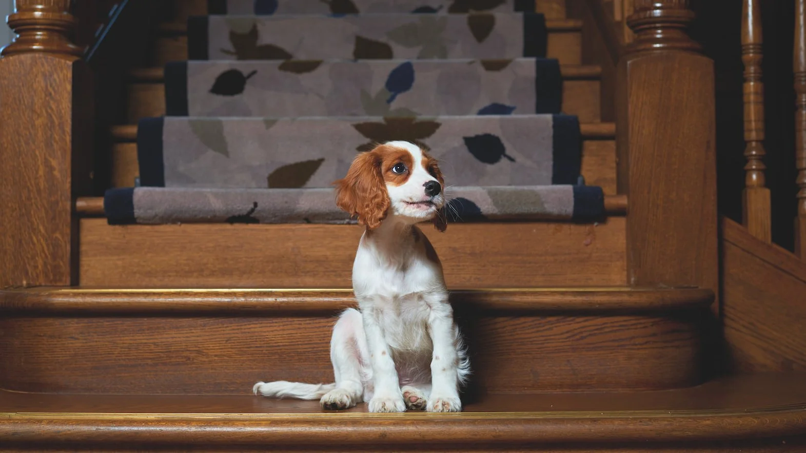 Curated London (Cadogan) 3.jpg