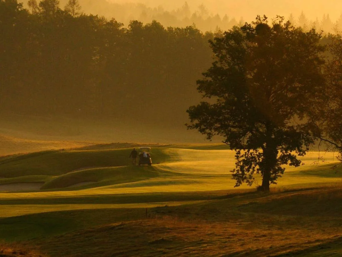 A golf course during sunset with a tree in the foreground and a golfer in the distance.
