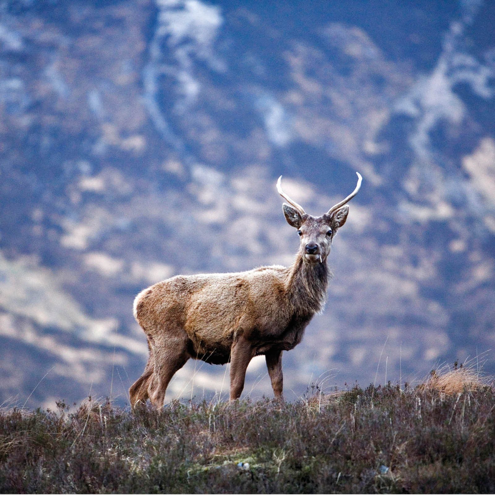 Turin Castle Itinerary-9.jpg