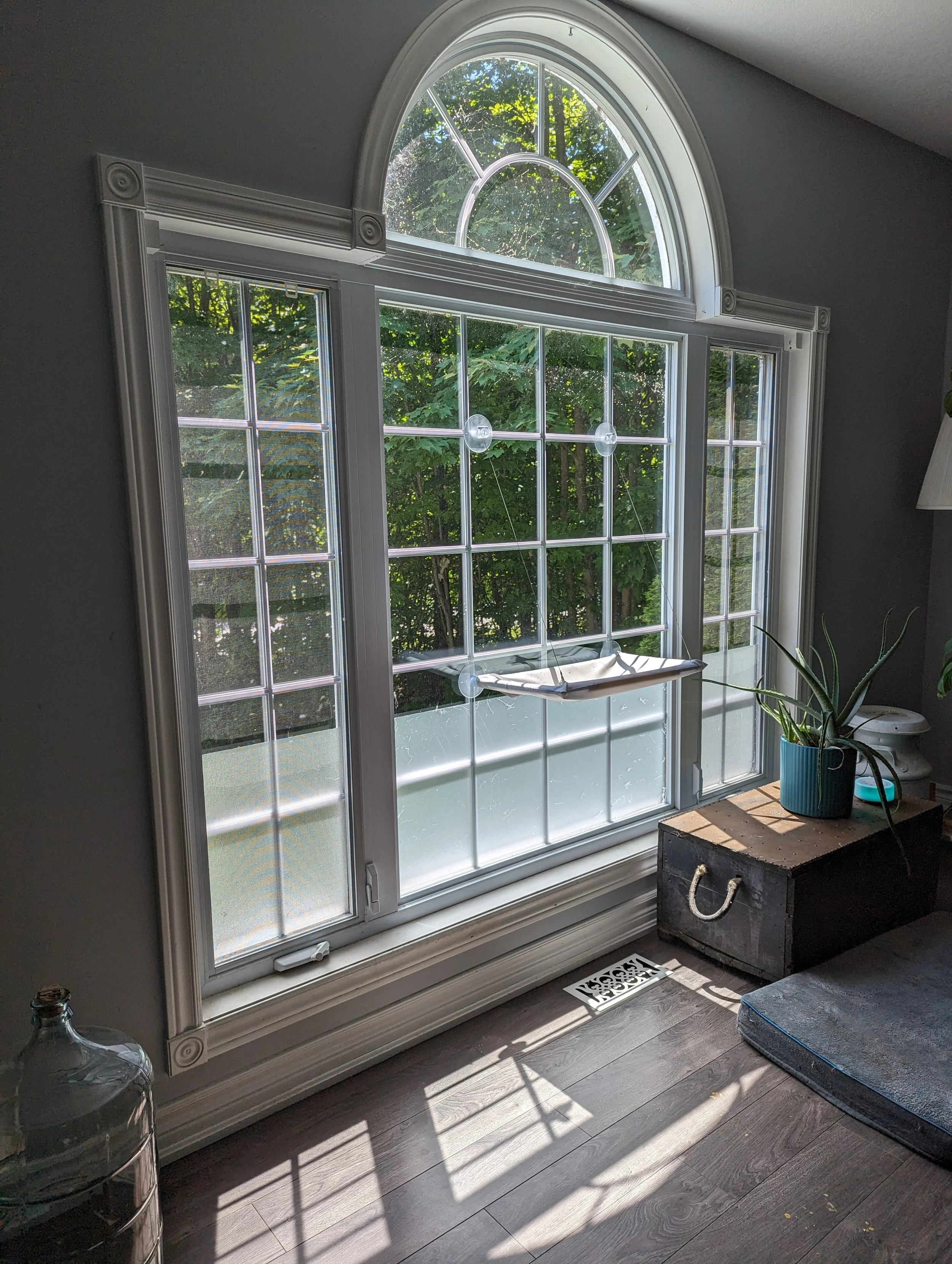 Window film is an affordable and effective way to reduce window barking. 
It goes on with static and water for easy install and removal. 