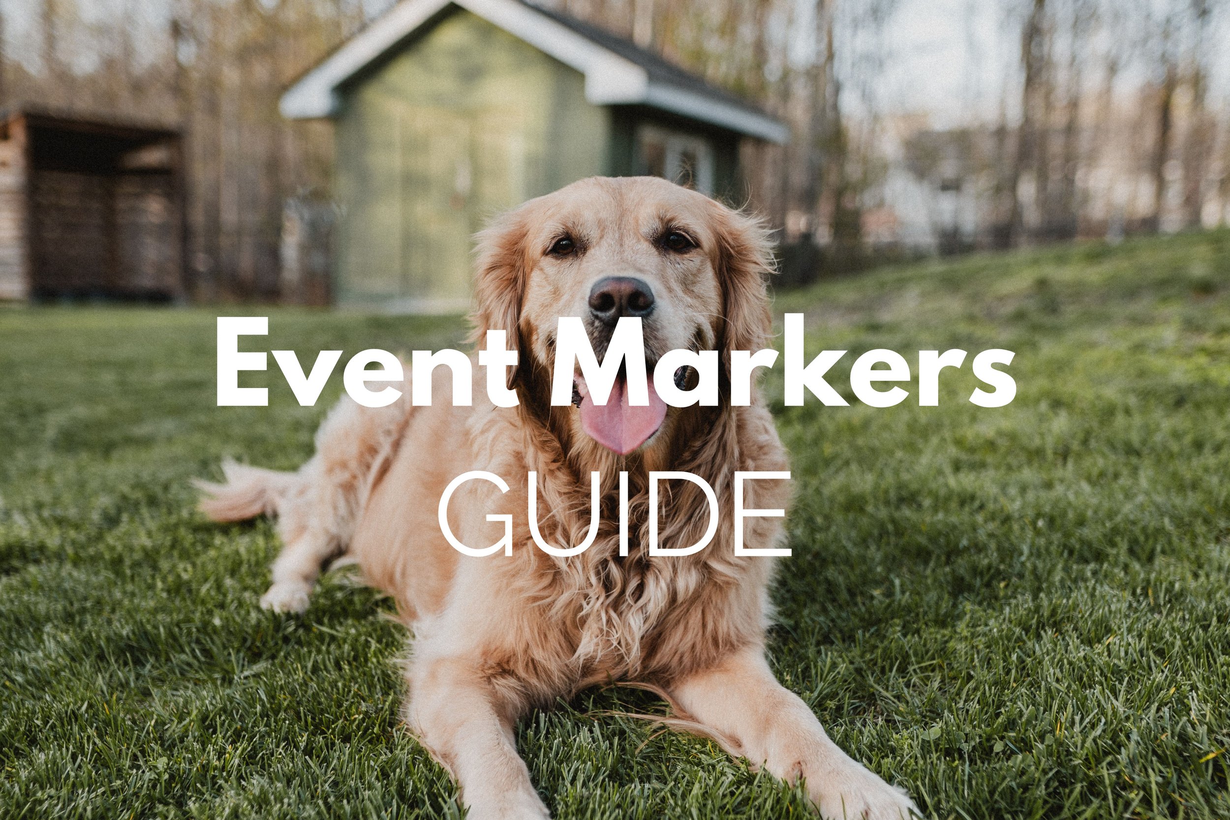 Clear Communication: Event Markers Guide
