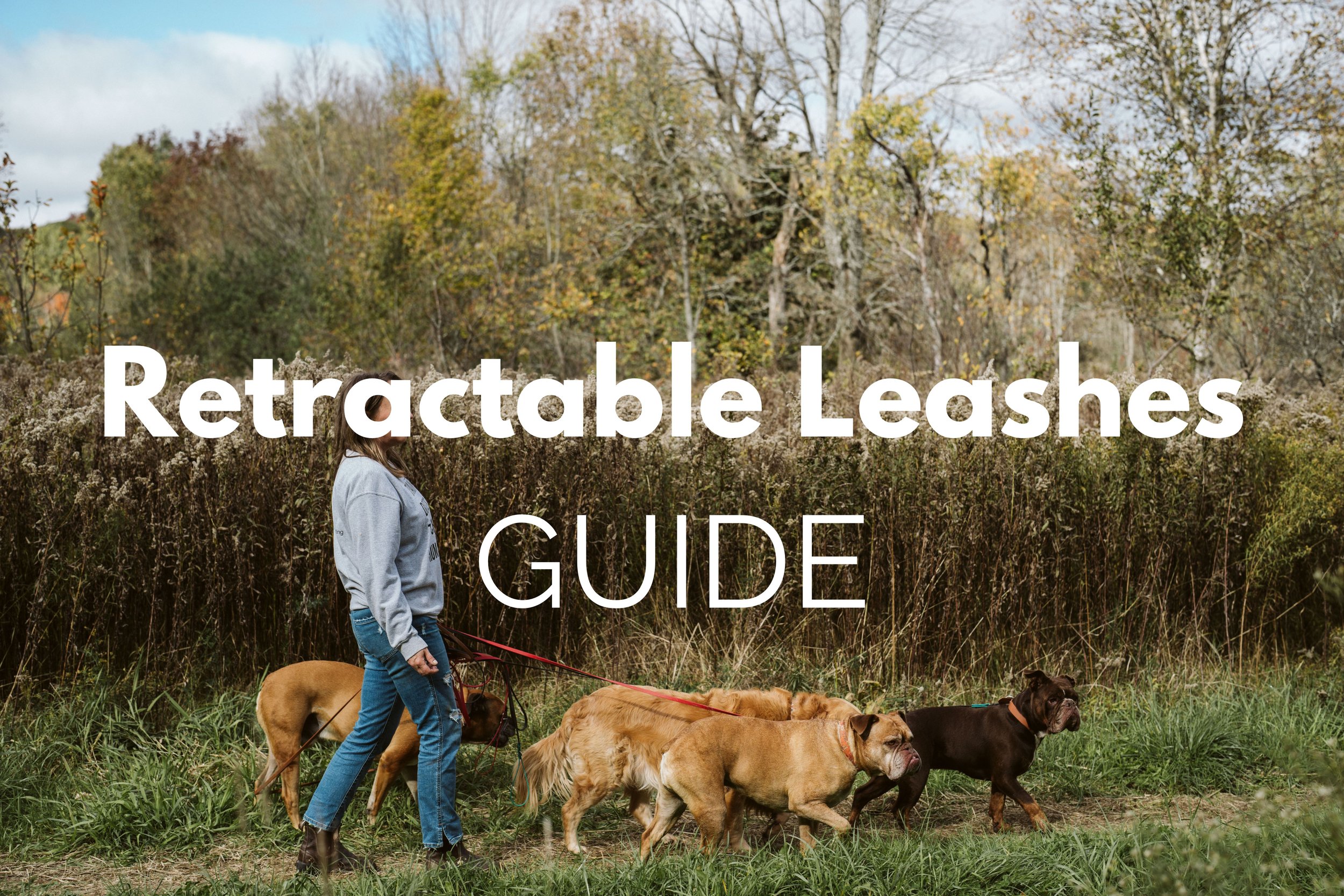 Retractable Leashes: Great Tool or ?