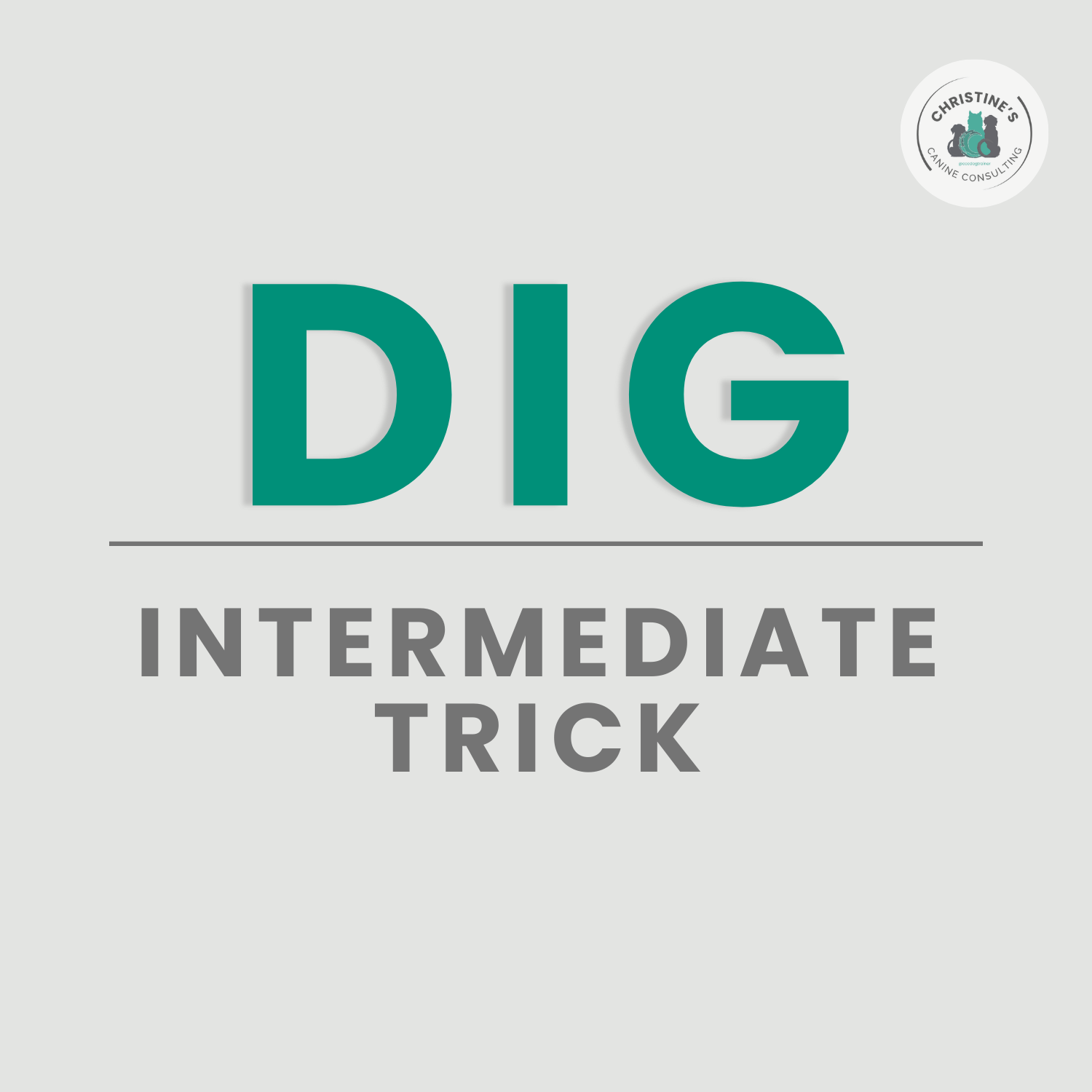 Dig