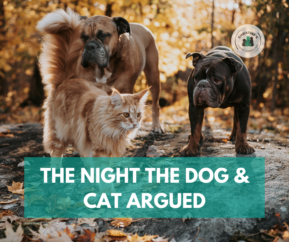 The Night the Cat &amp; The Dog Argued