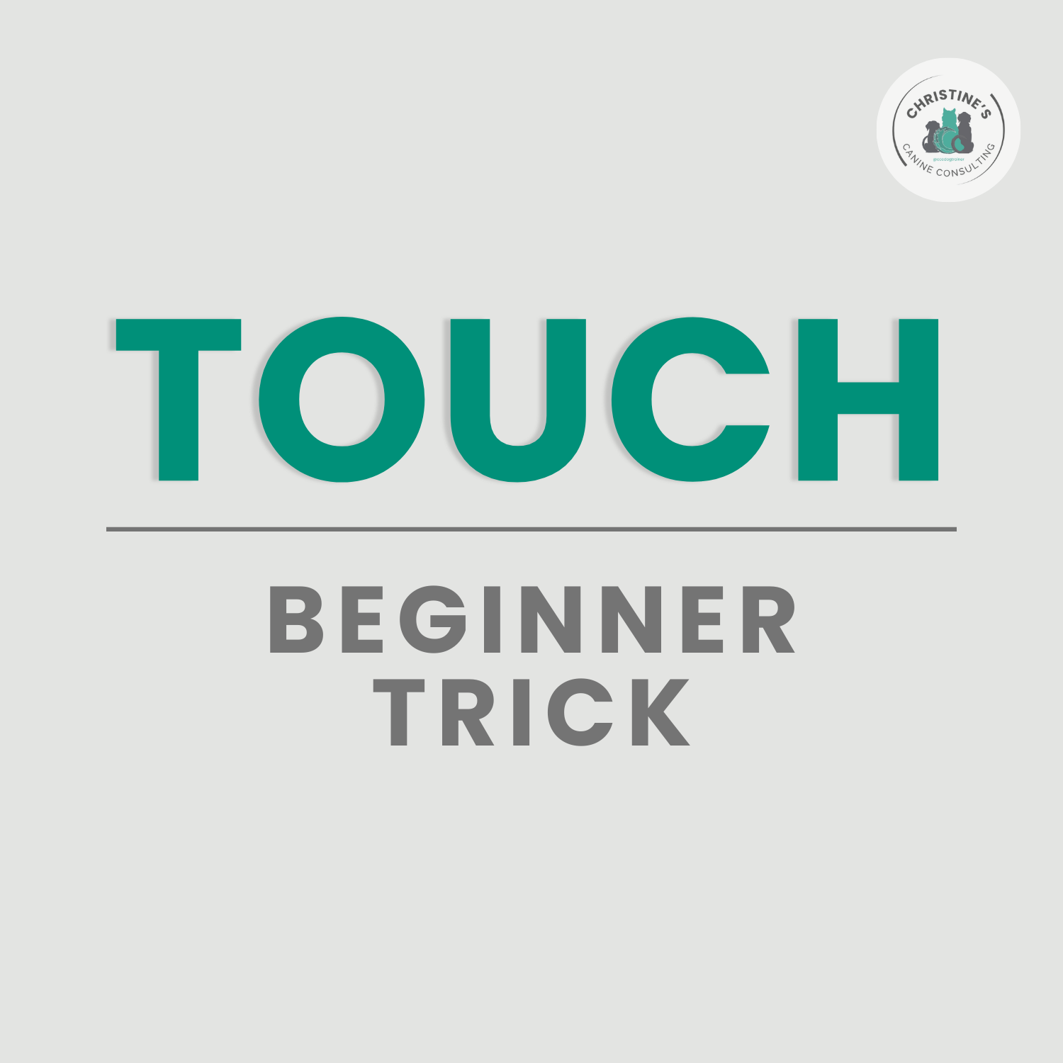 Touch (Hand Touch)