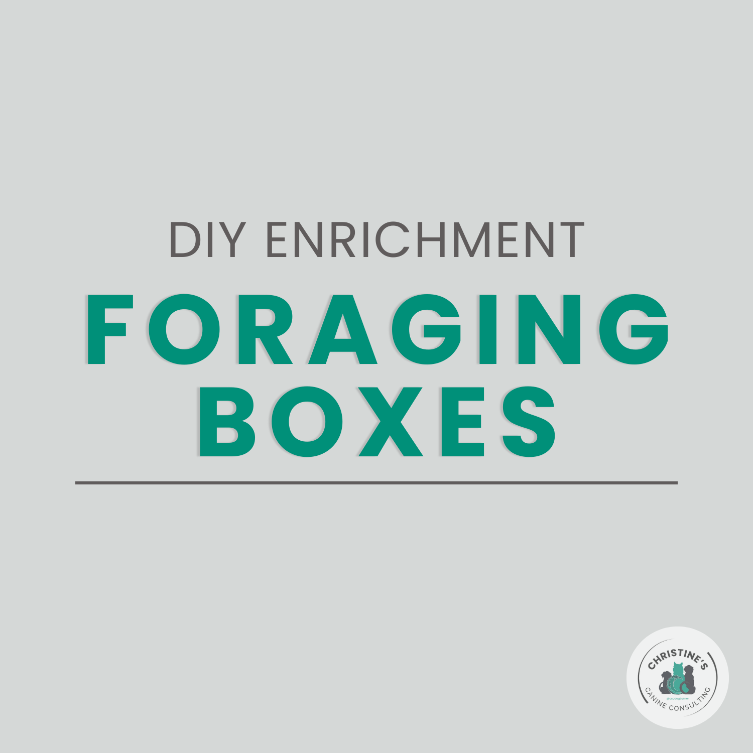 Foraging Boxes: Simple, Satisfying Enrichment for Every Dog
