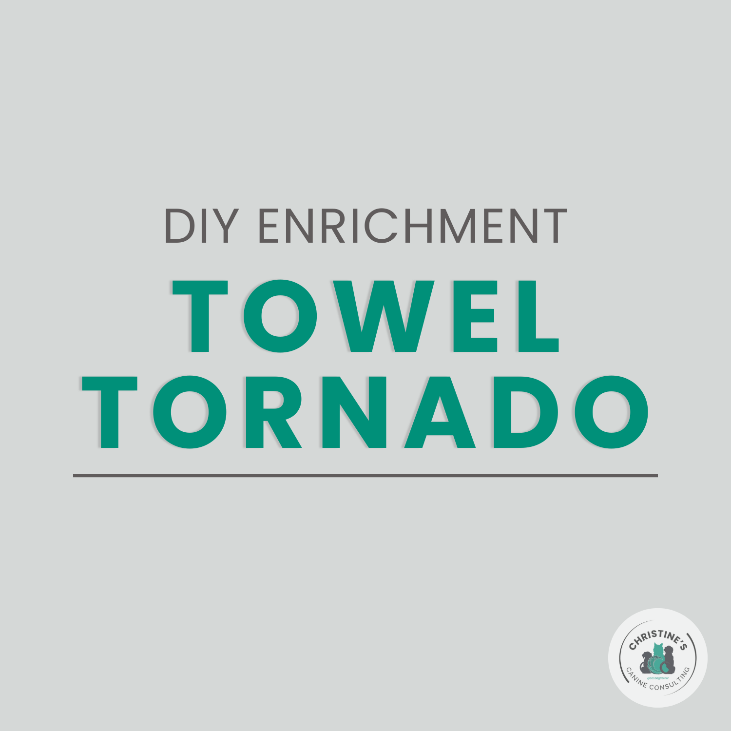 Towel Tornado: A Fast, Fun DIY Puzzle for Sniffing and Problem-Solving