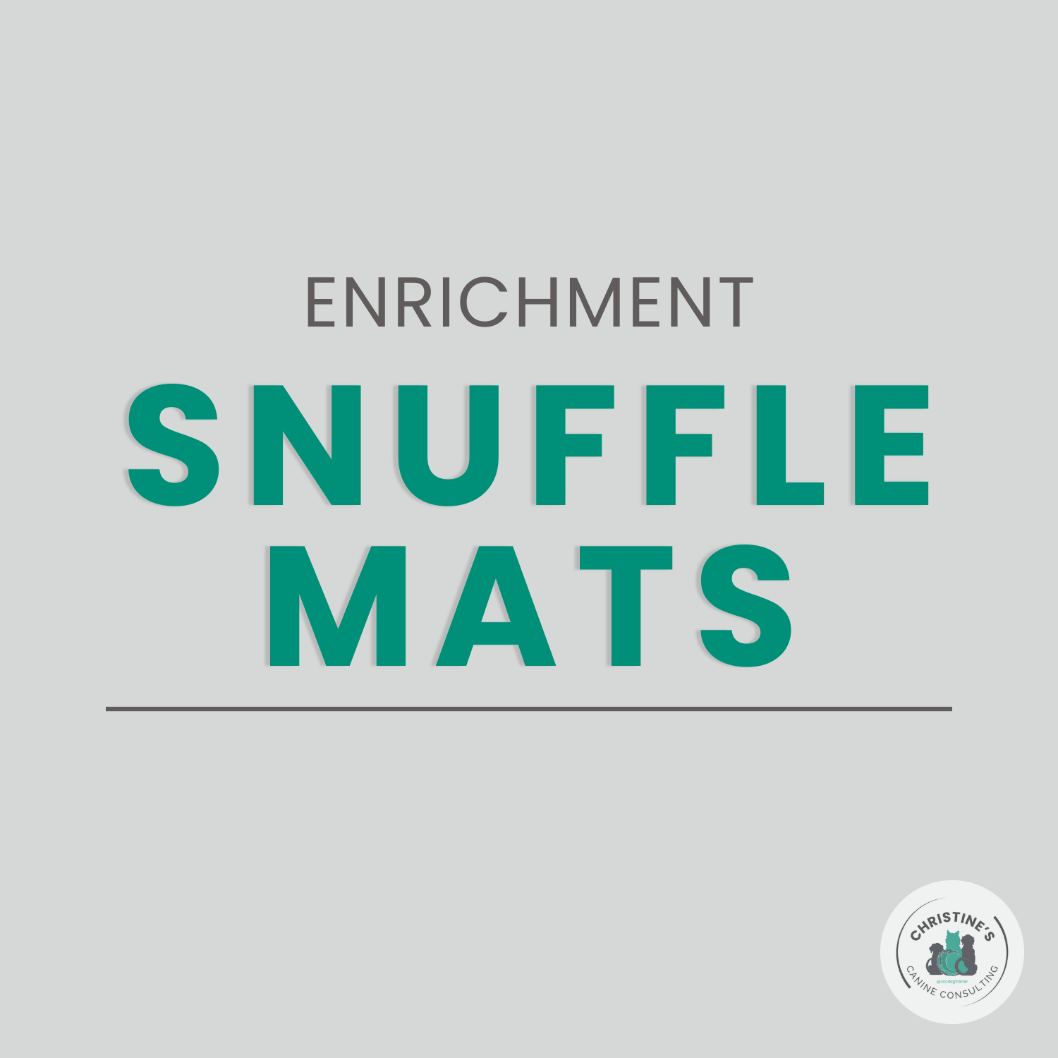 Snuffle Mats: A Simple Way to Encourage Sniffing, Foraging, and Calm Focus
