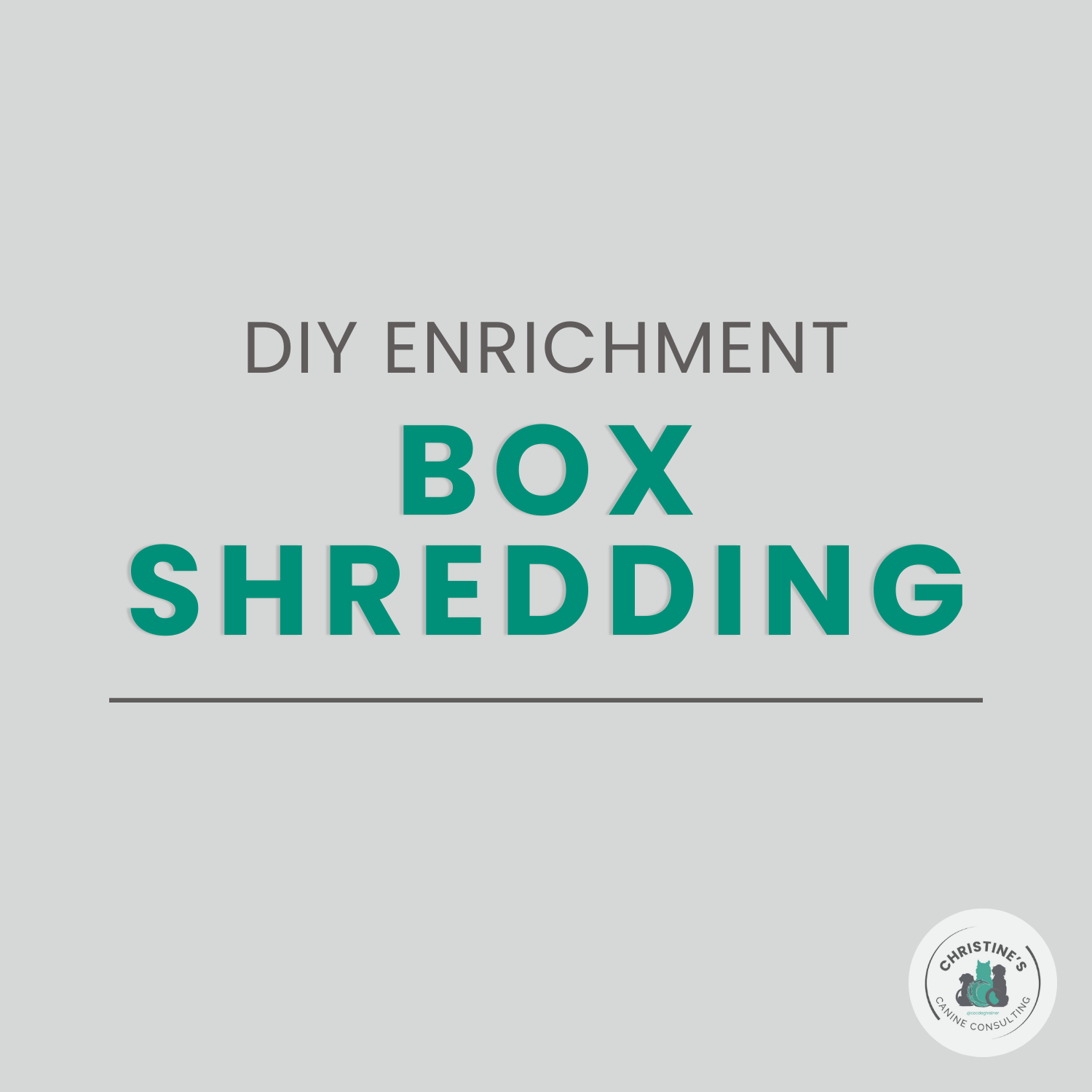 Box Shredding: A Safe, Instinct-Friendly Outlet for Natural Behaviour