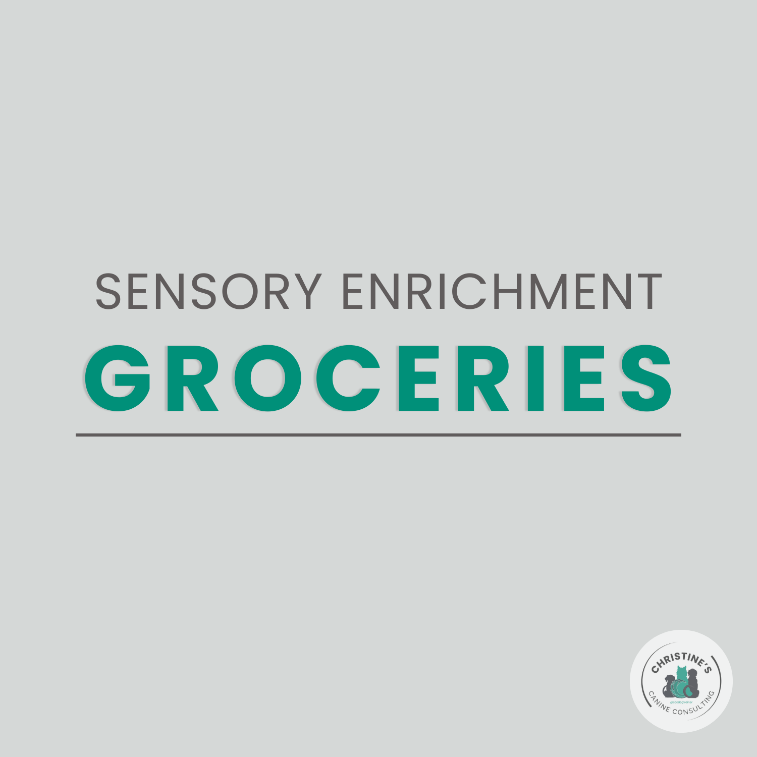 Letting Your Dog Inspect the Groceries: Simple Sensory Enrichment at Home