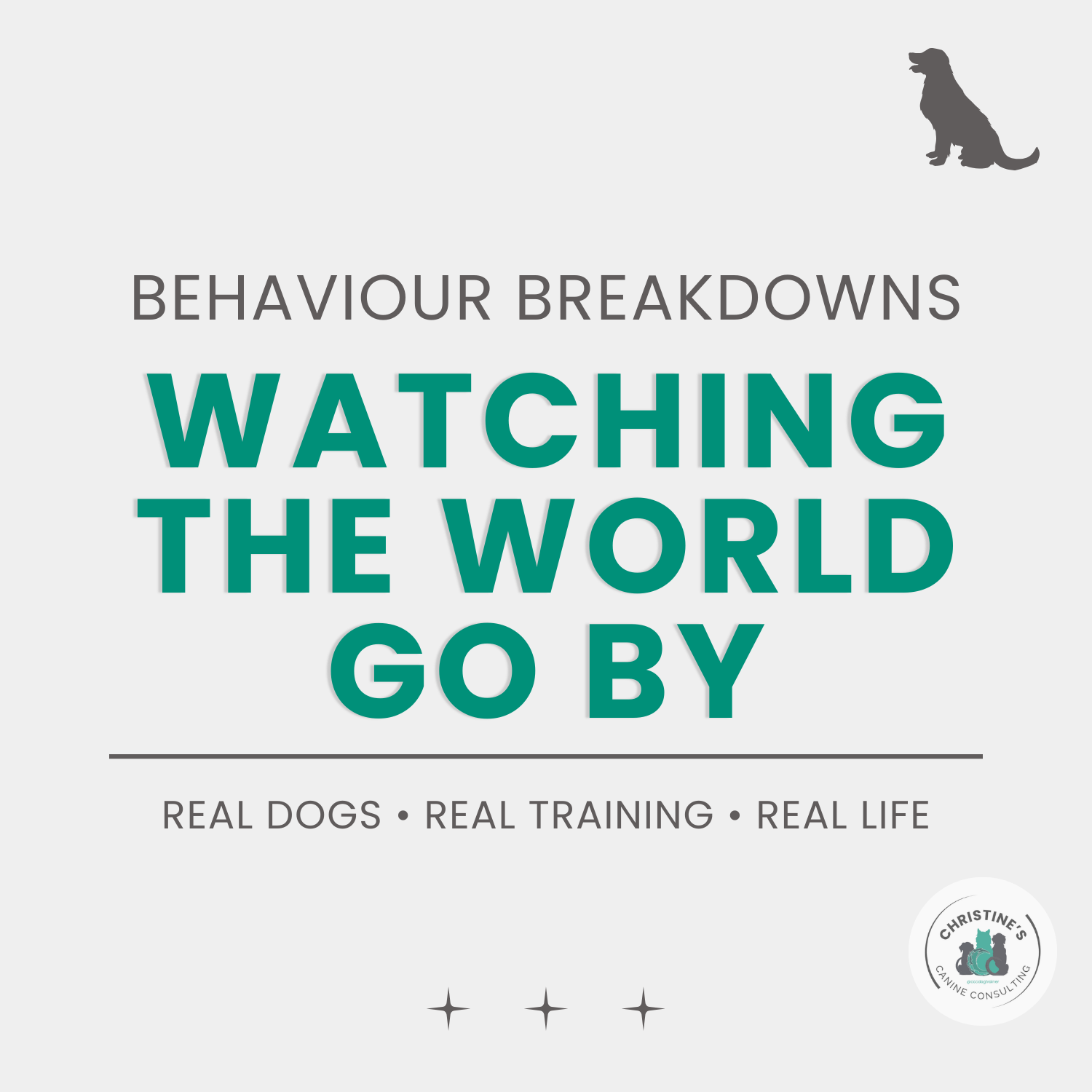 Behaviour Breakdowns: Watching the World Go By