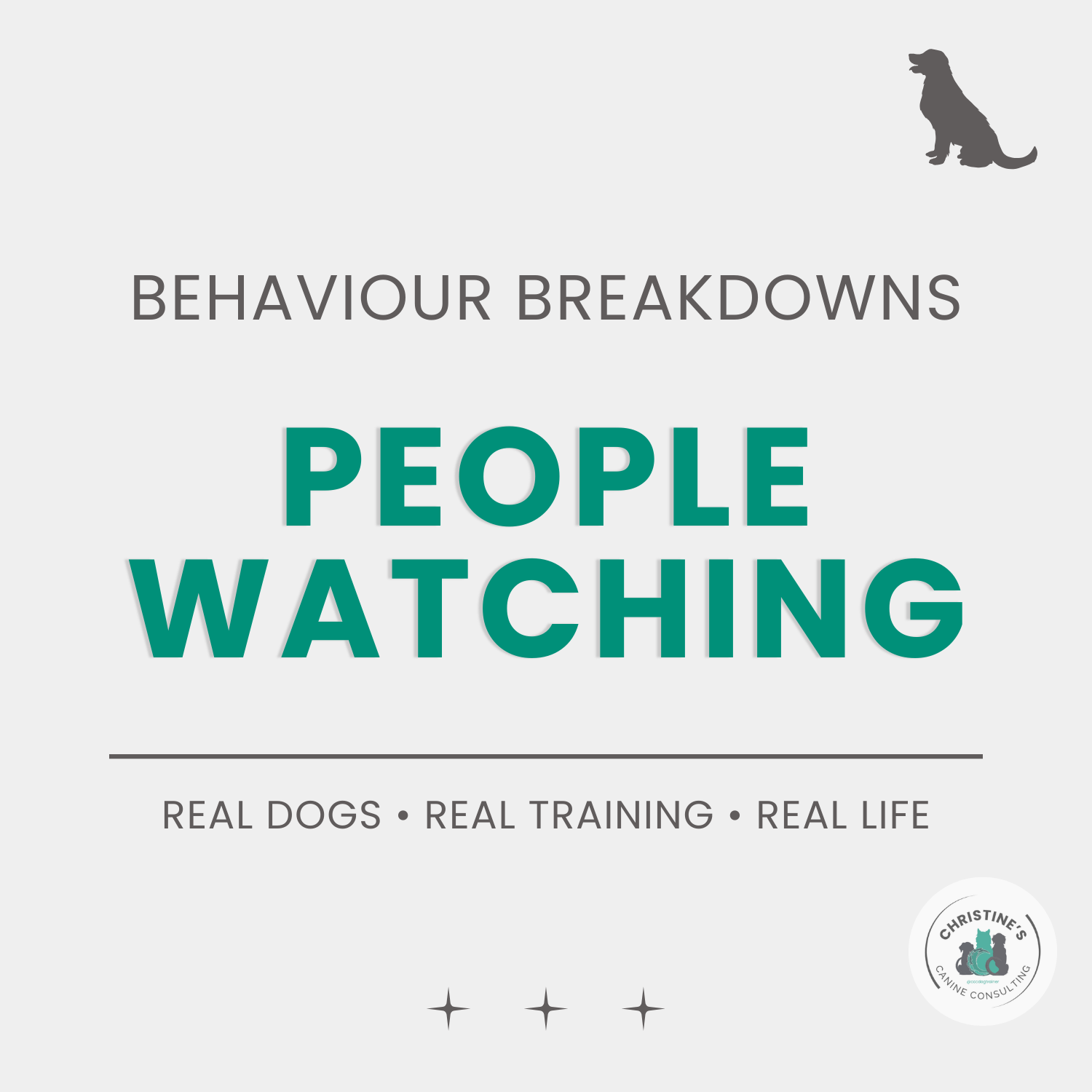 Behaviour Breakdowns: Capturing Calm &amp; People Watching