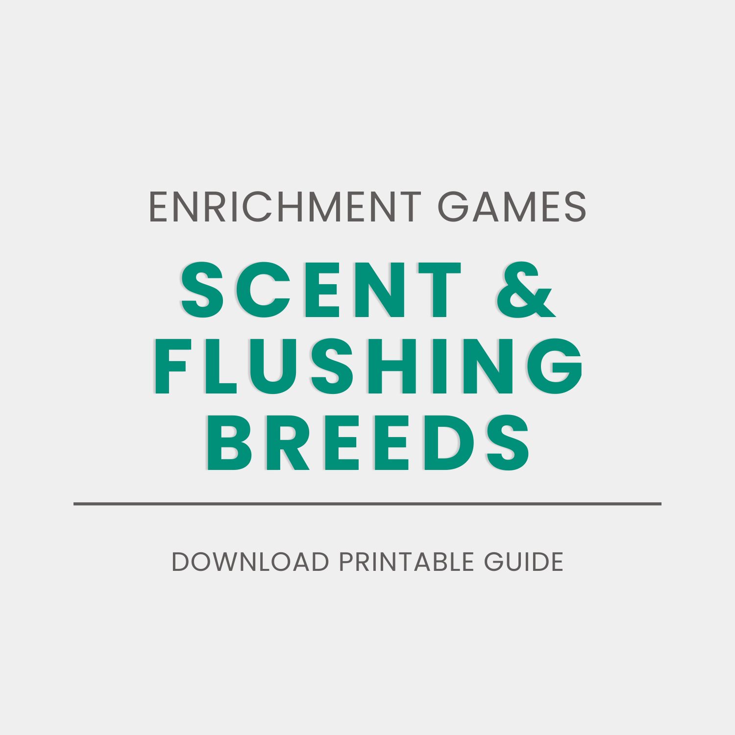 Enrichment Games for Scent &amp; Flushing Breeds