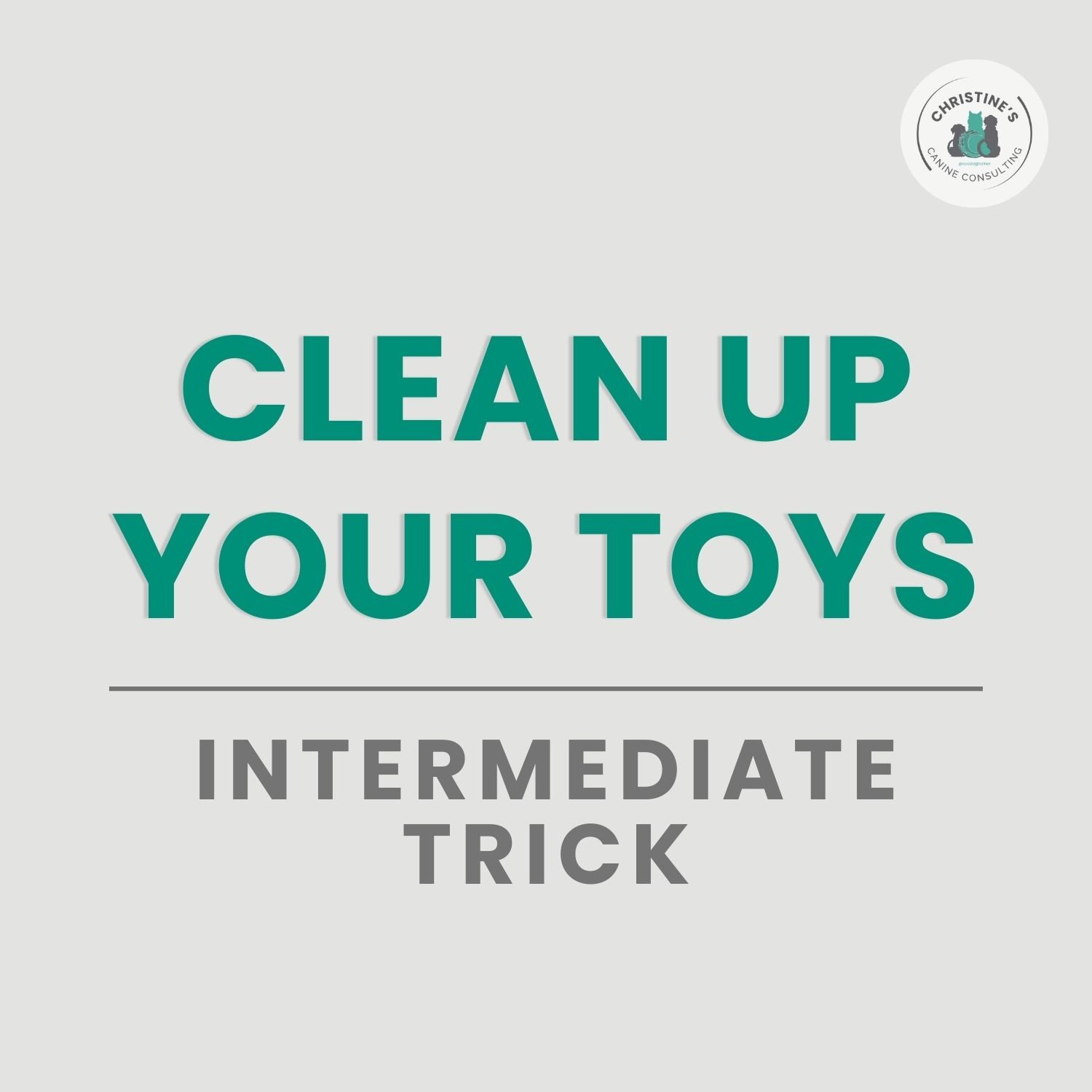 Clean Up Your Toys