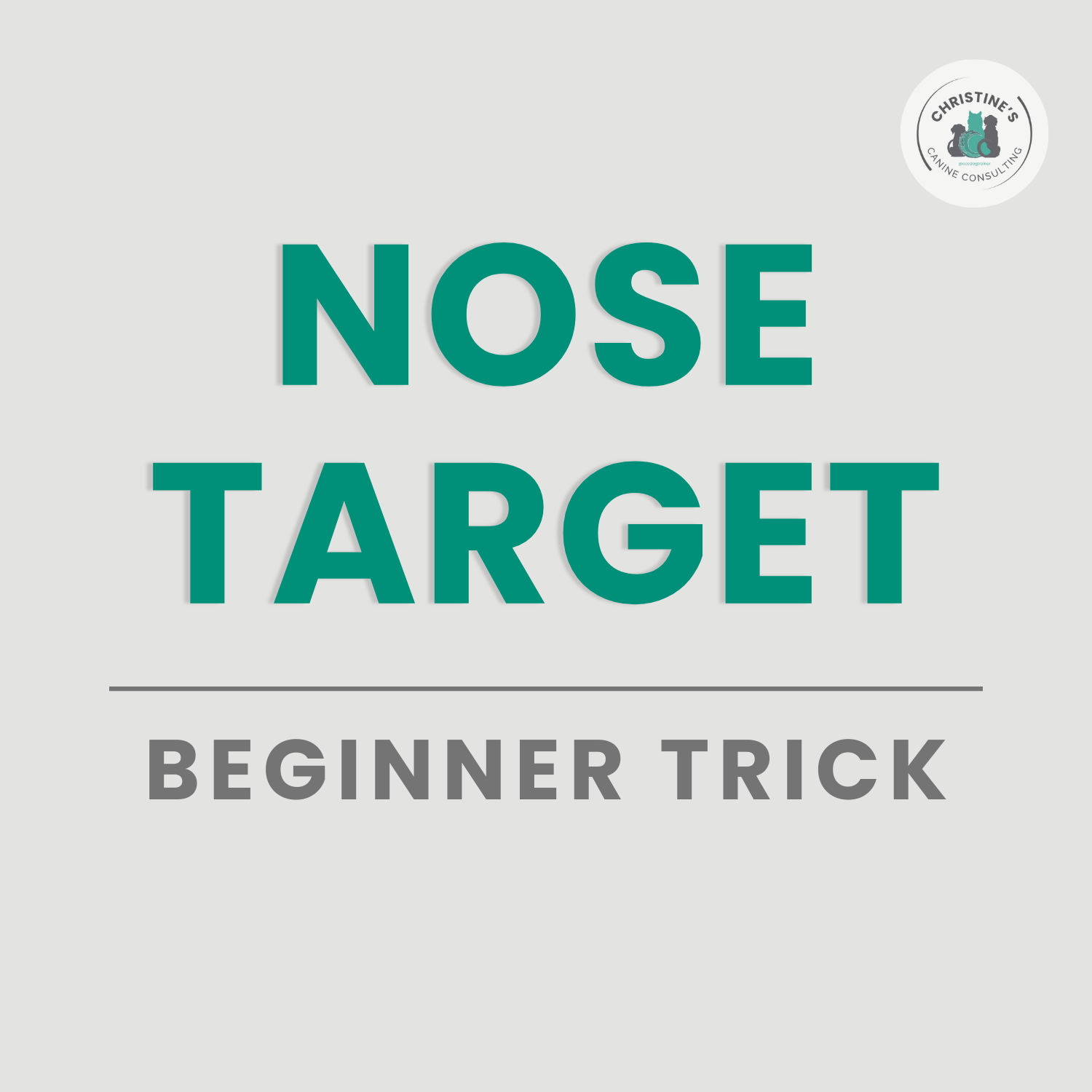 Nose Target
