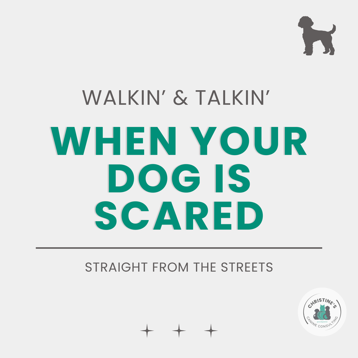 Walkin’ &amp; Talkin’: When Your Dog Gets Scared of… Garbage?