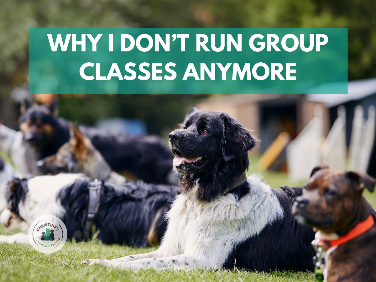 Why I Don’t Offer Group Classes Anymore