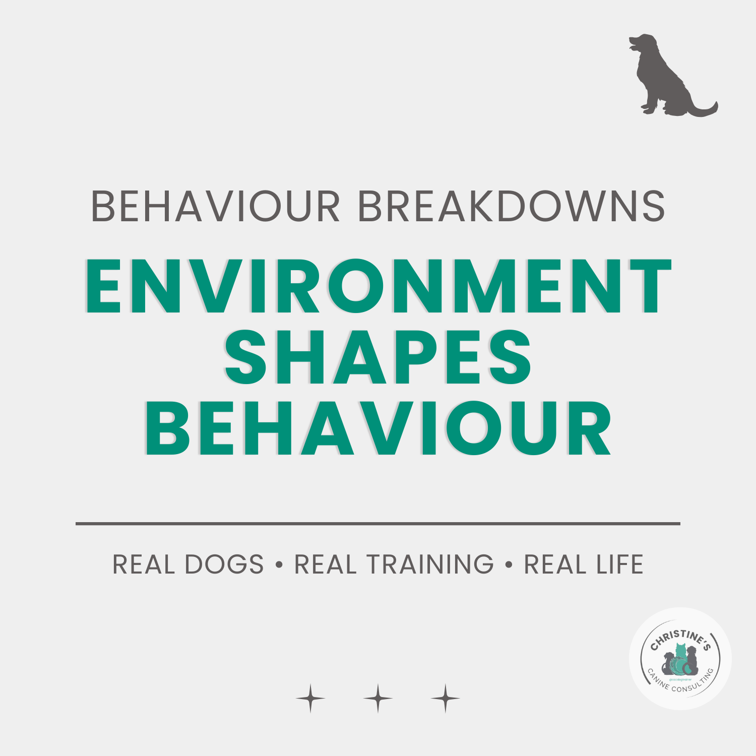 Environment Shapes Behaviour