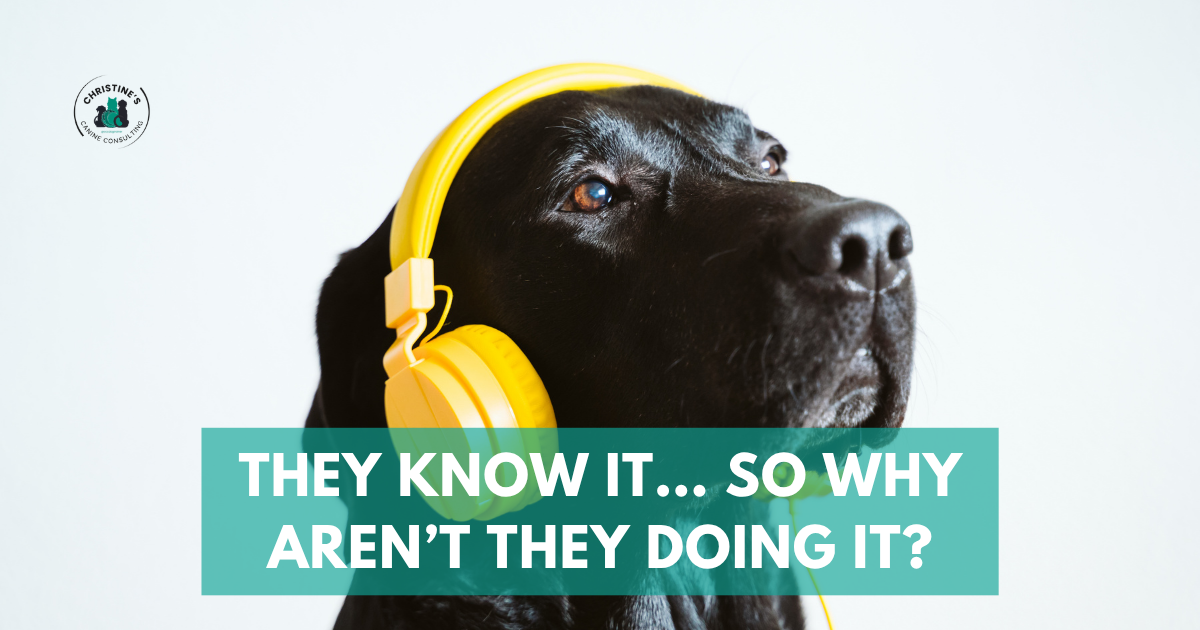 They Know It… So Why Aren’t They Doing It?