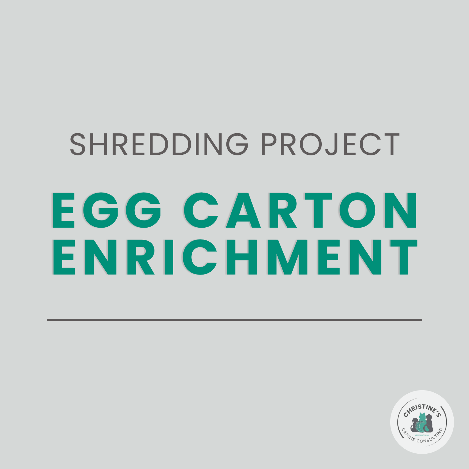 Easy Egg Carton Enrichment